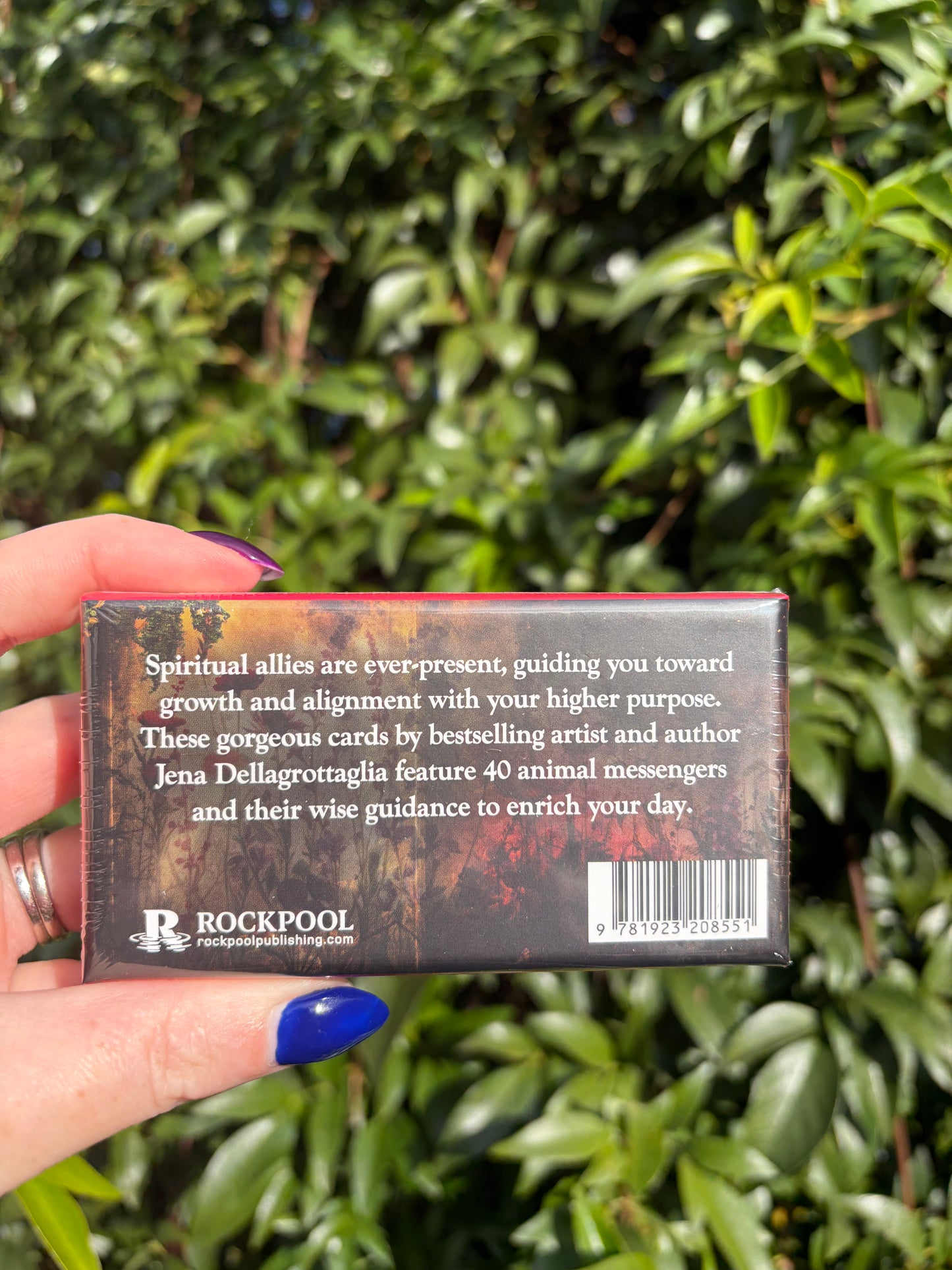 Animal Guide Cards