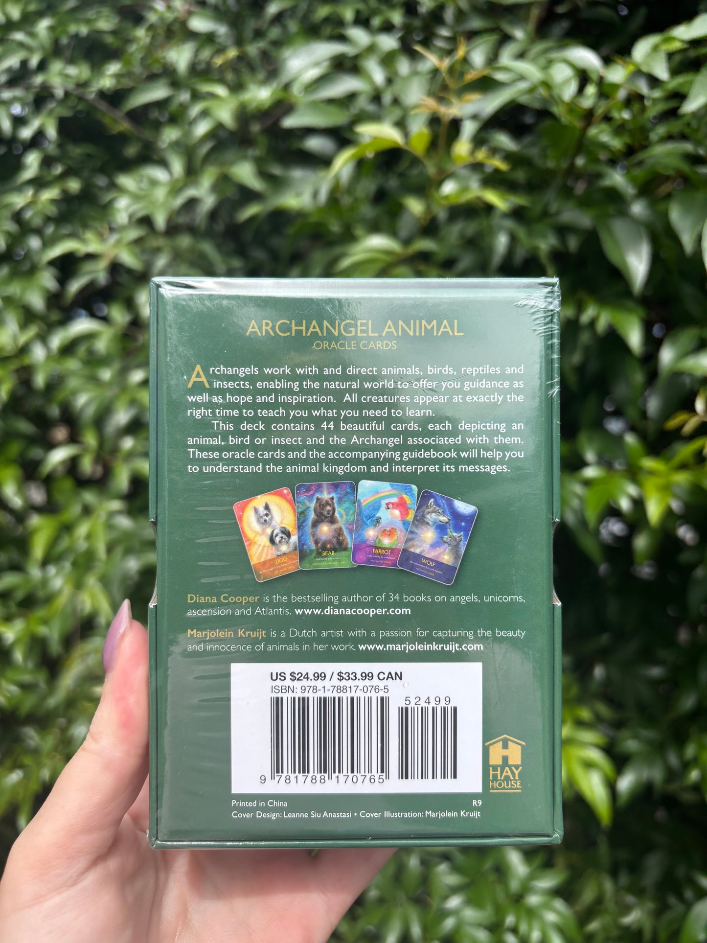 Archangel Animal Oracle Cards