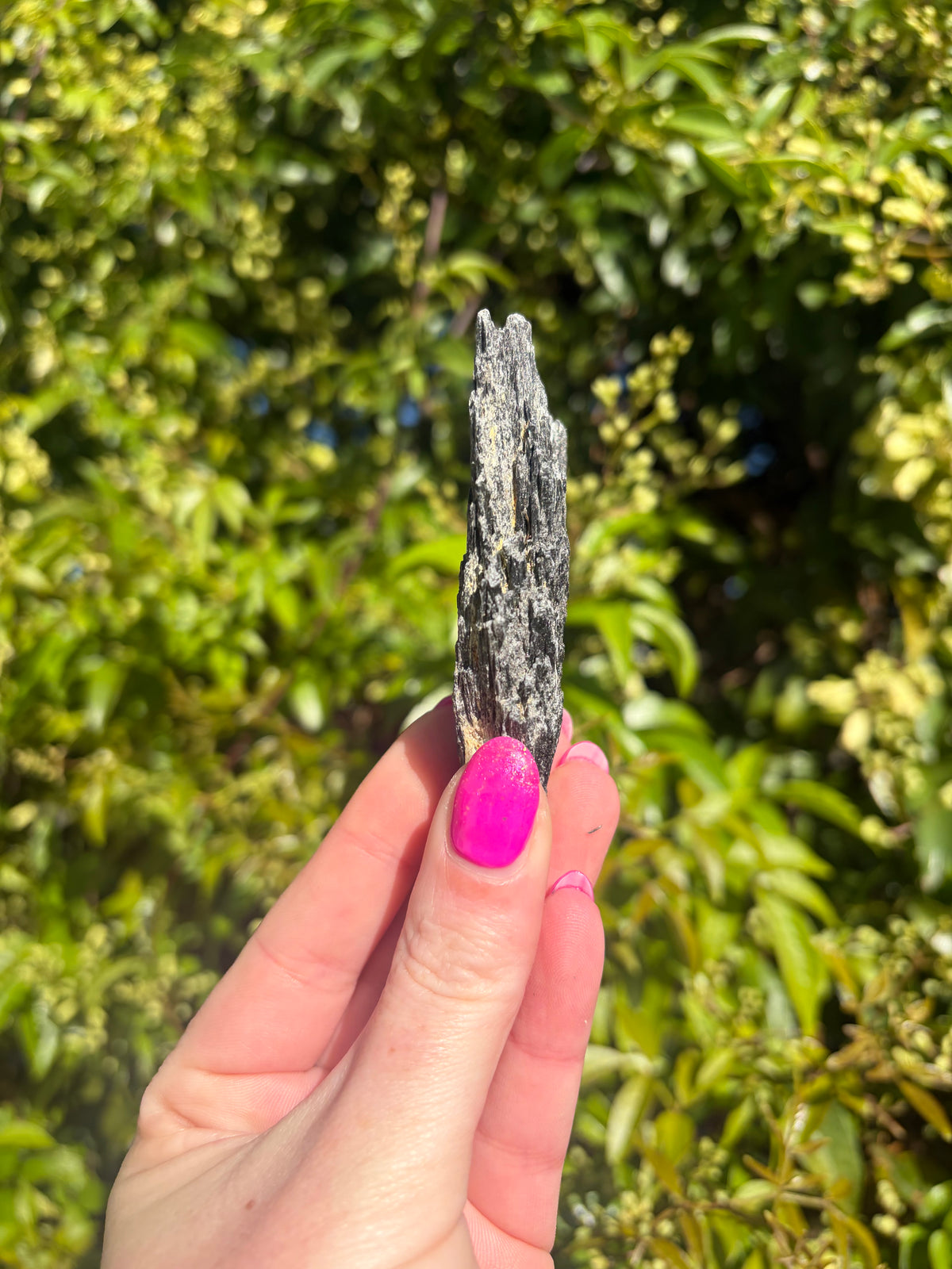 Black Kyanite Fan Piece B