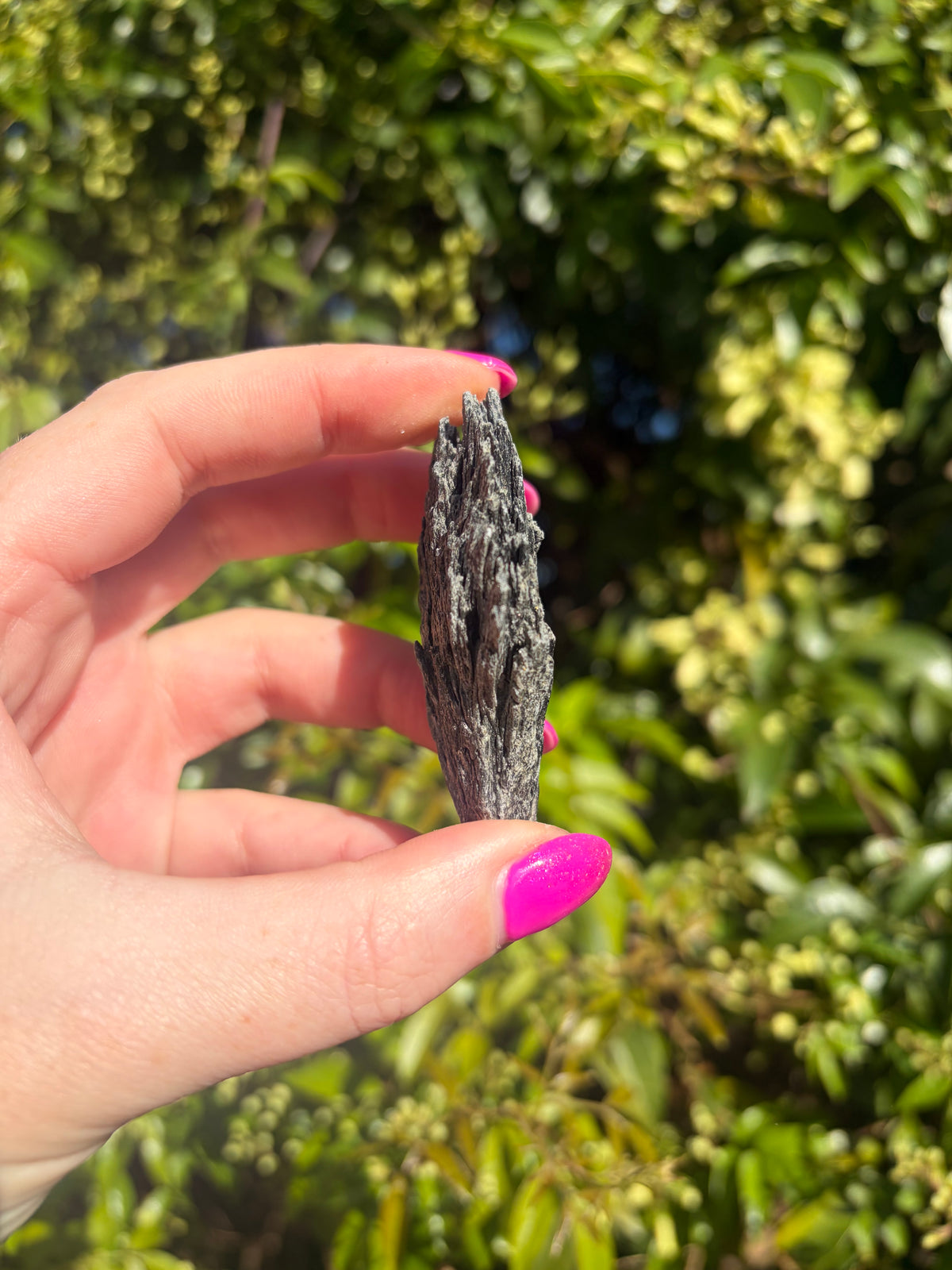 Black Kyanite Fan Piece C