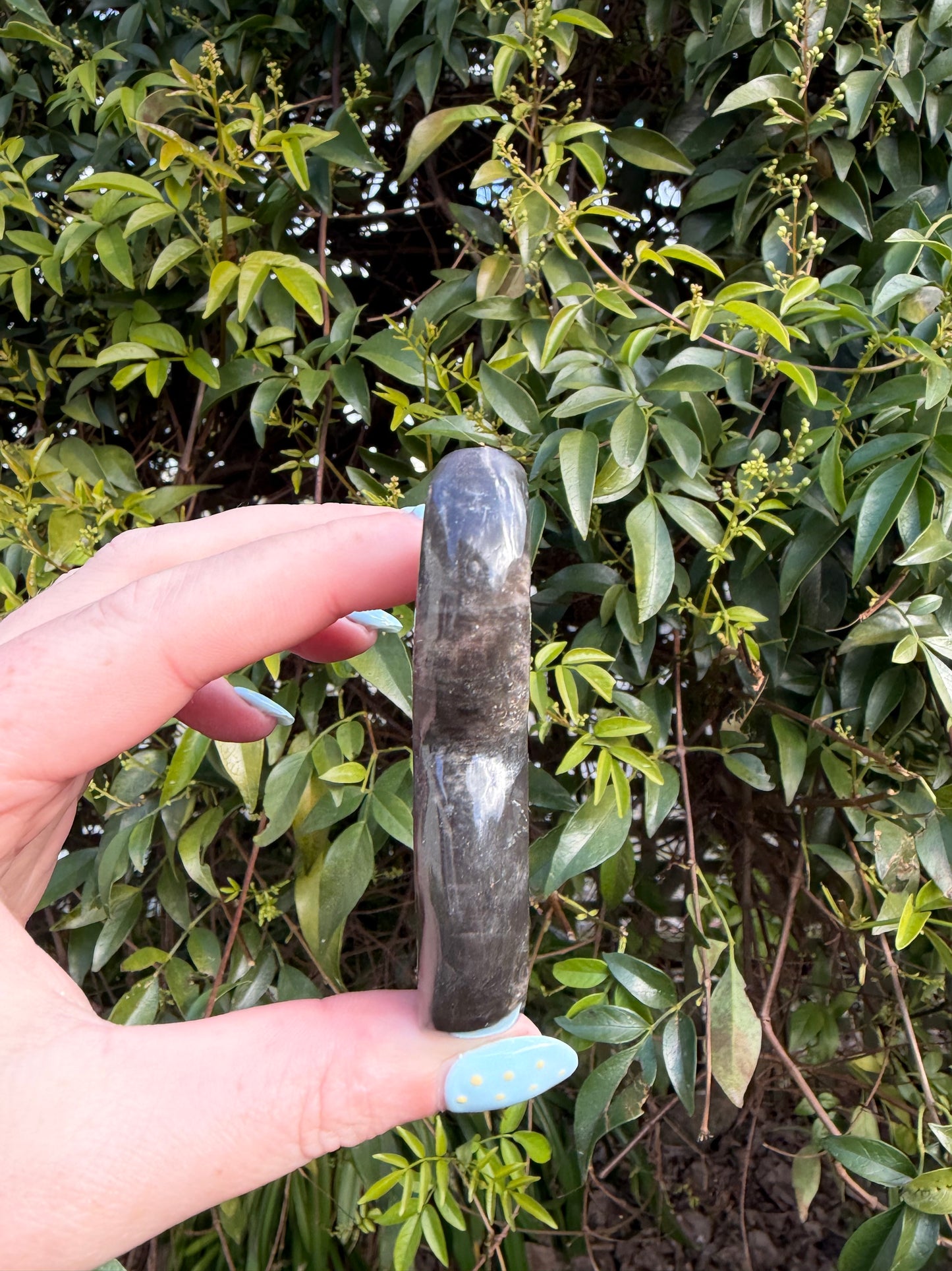 Black Moonstone Mermaid Tail A