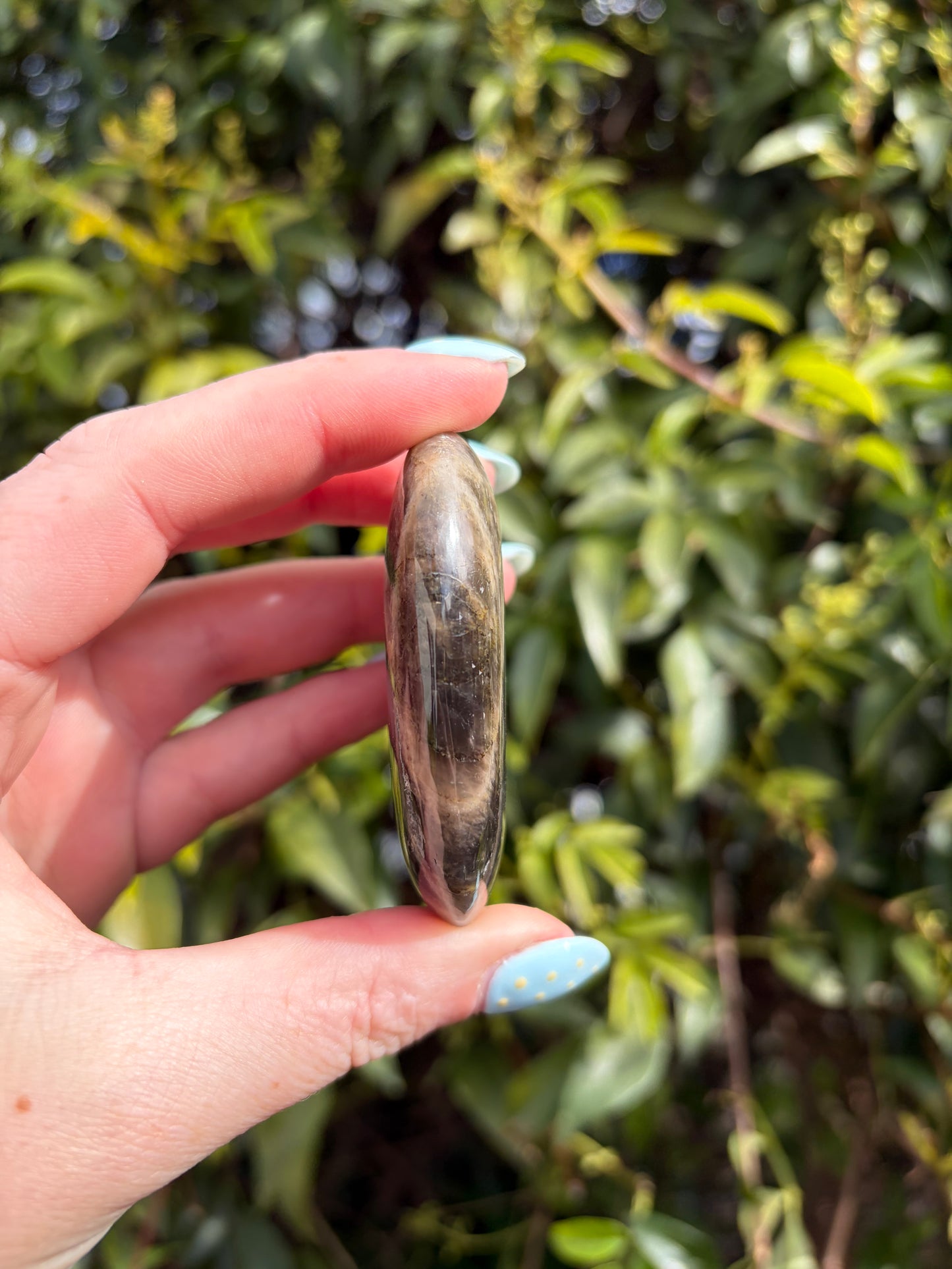 Black Moonstone Palm Stone B