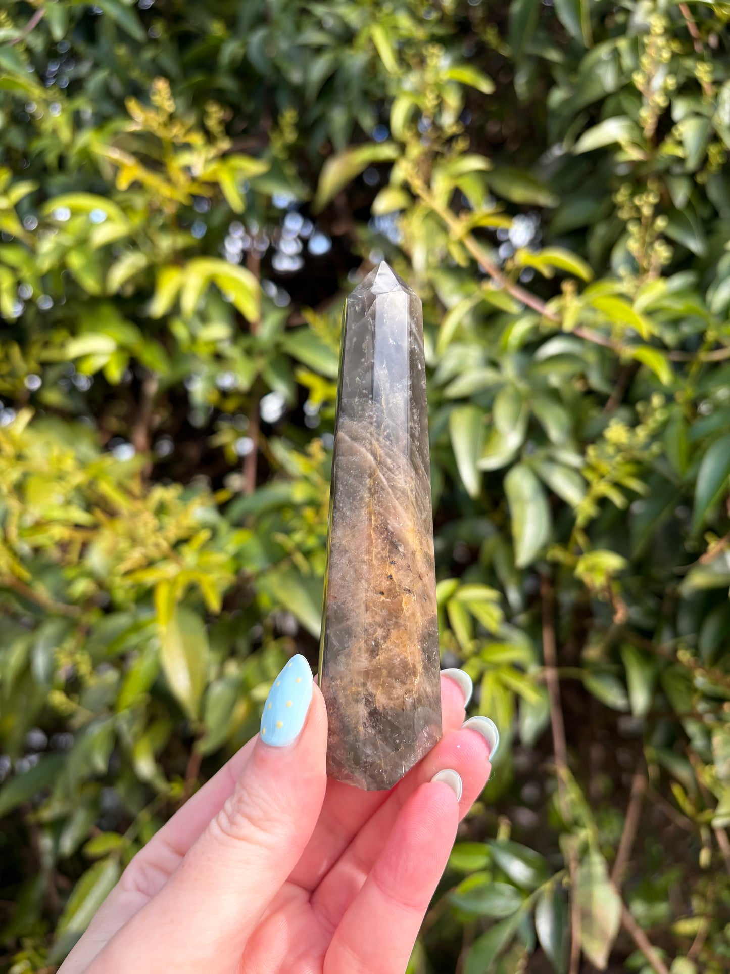 Black Moonstone Point D