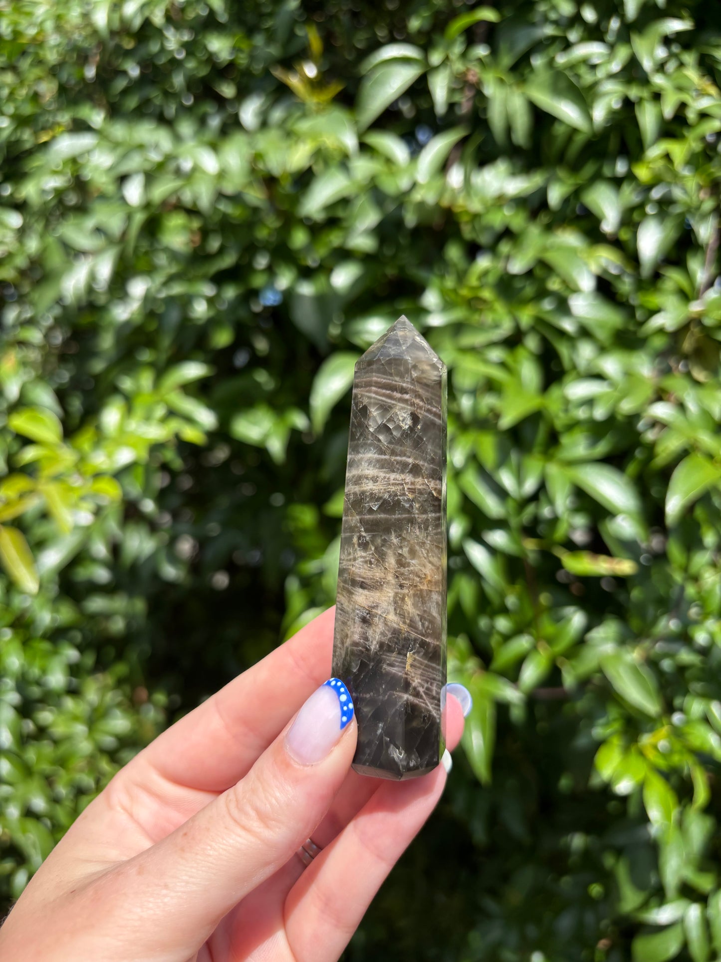 Black Moonstone Point C