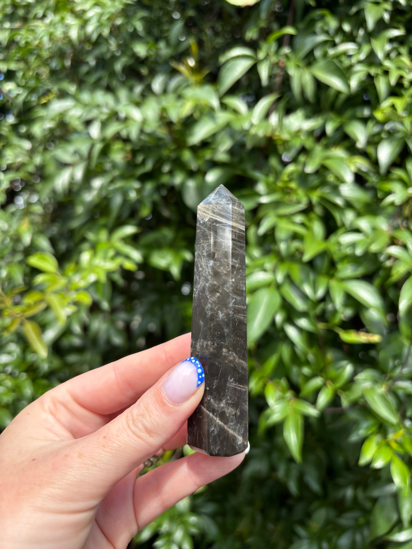 Black Moonstone Point D