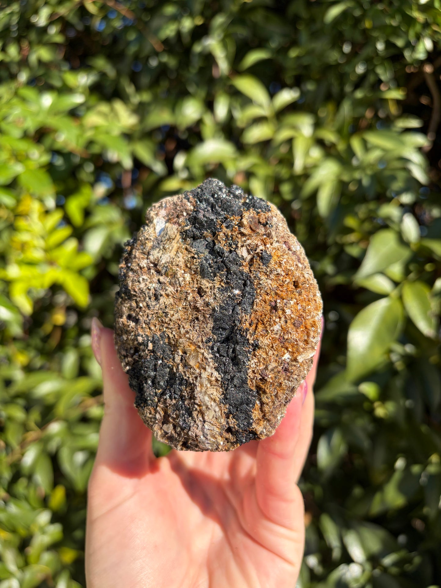 Black Tourmaline & Mica Rough Piece B 1.1kgs