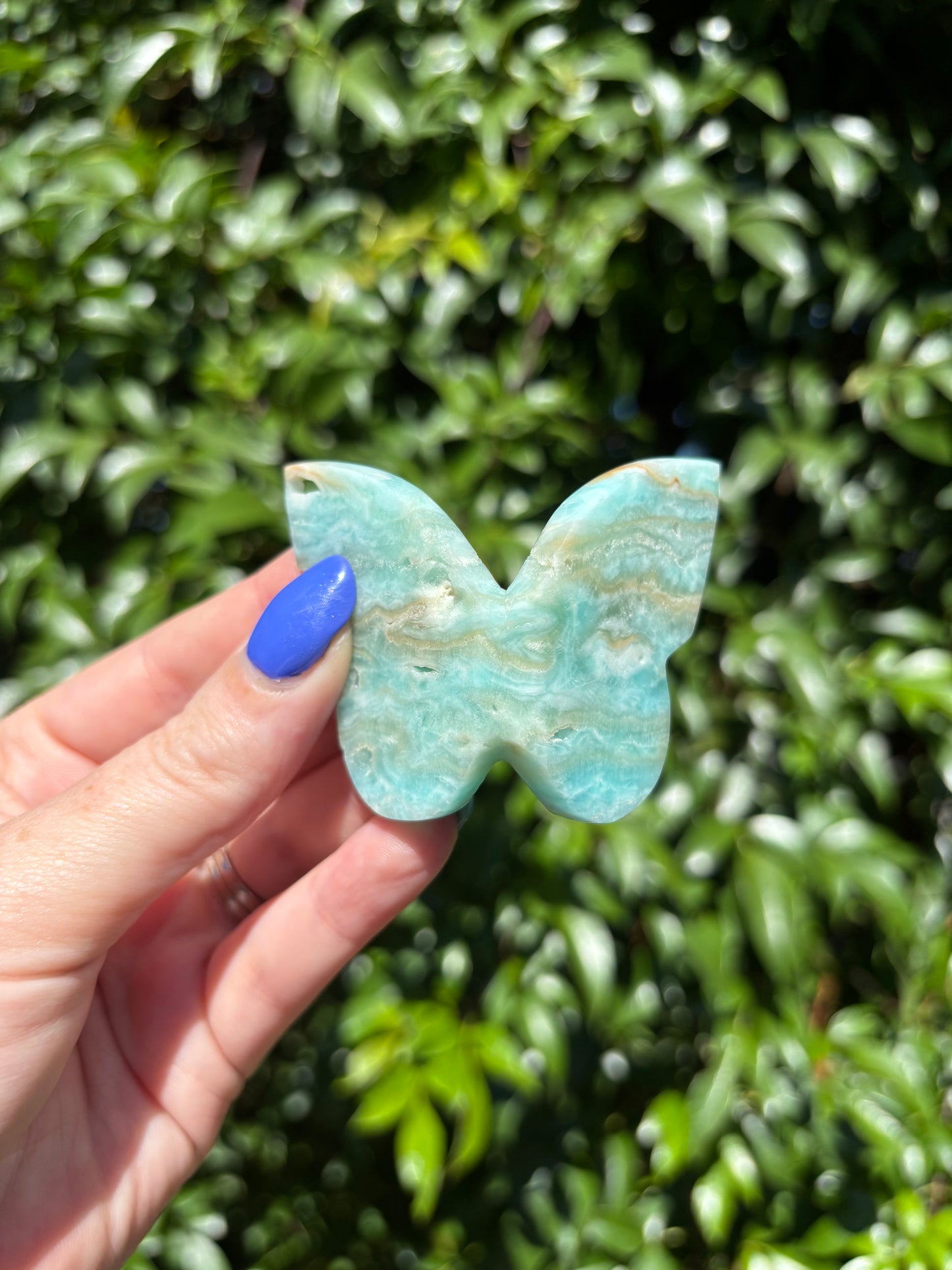 Blue Aragonite 3D Large Butterfly C
