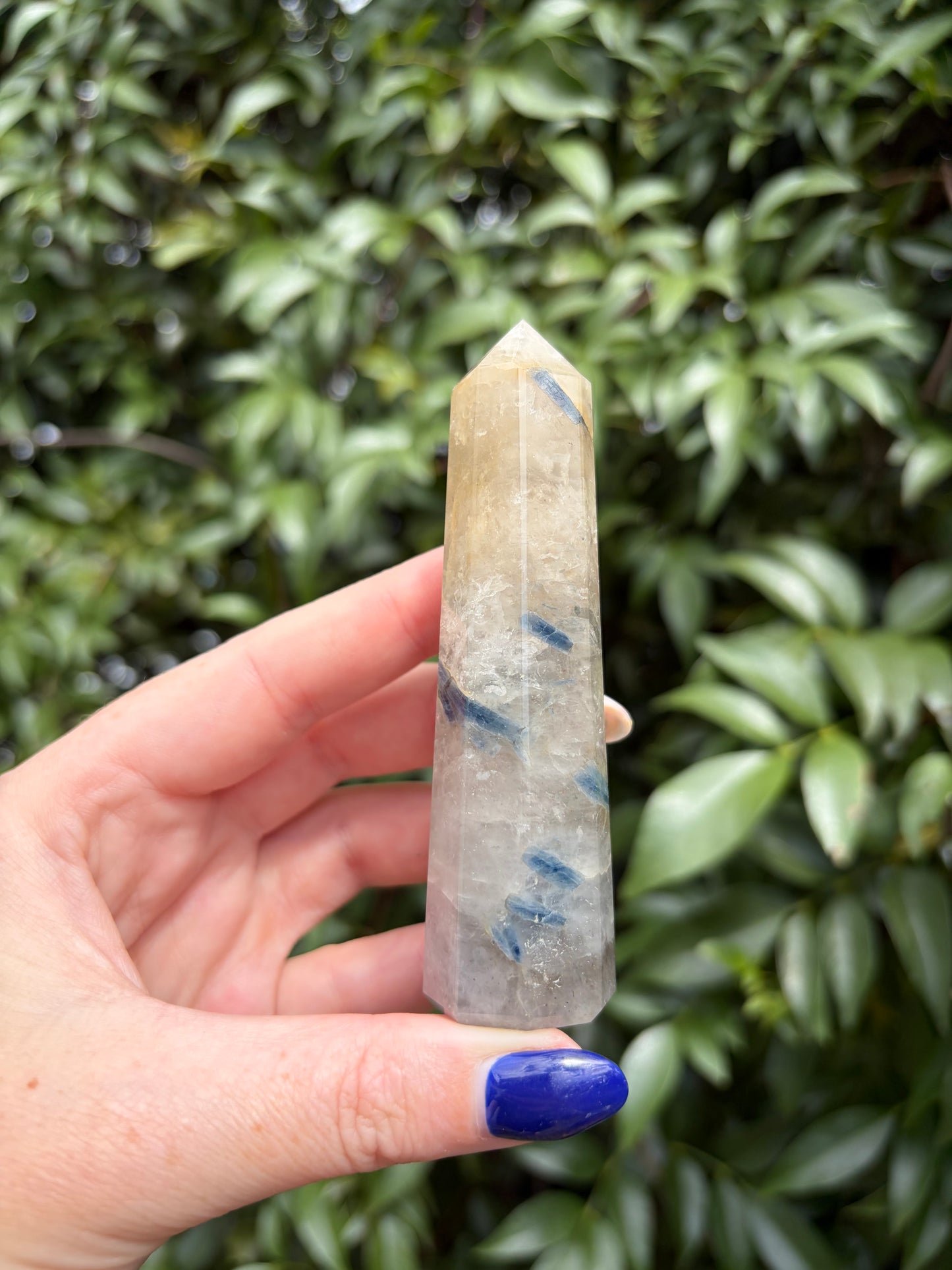 Blue Kyanite & Quartz Point F