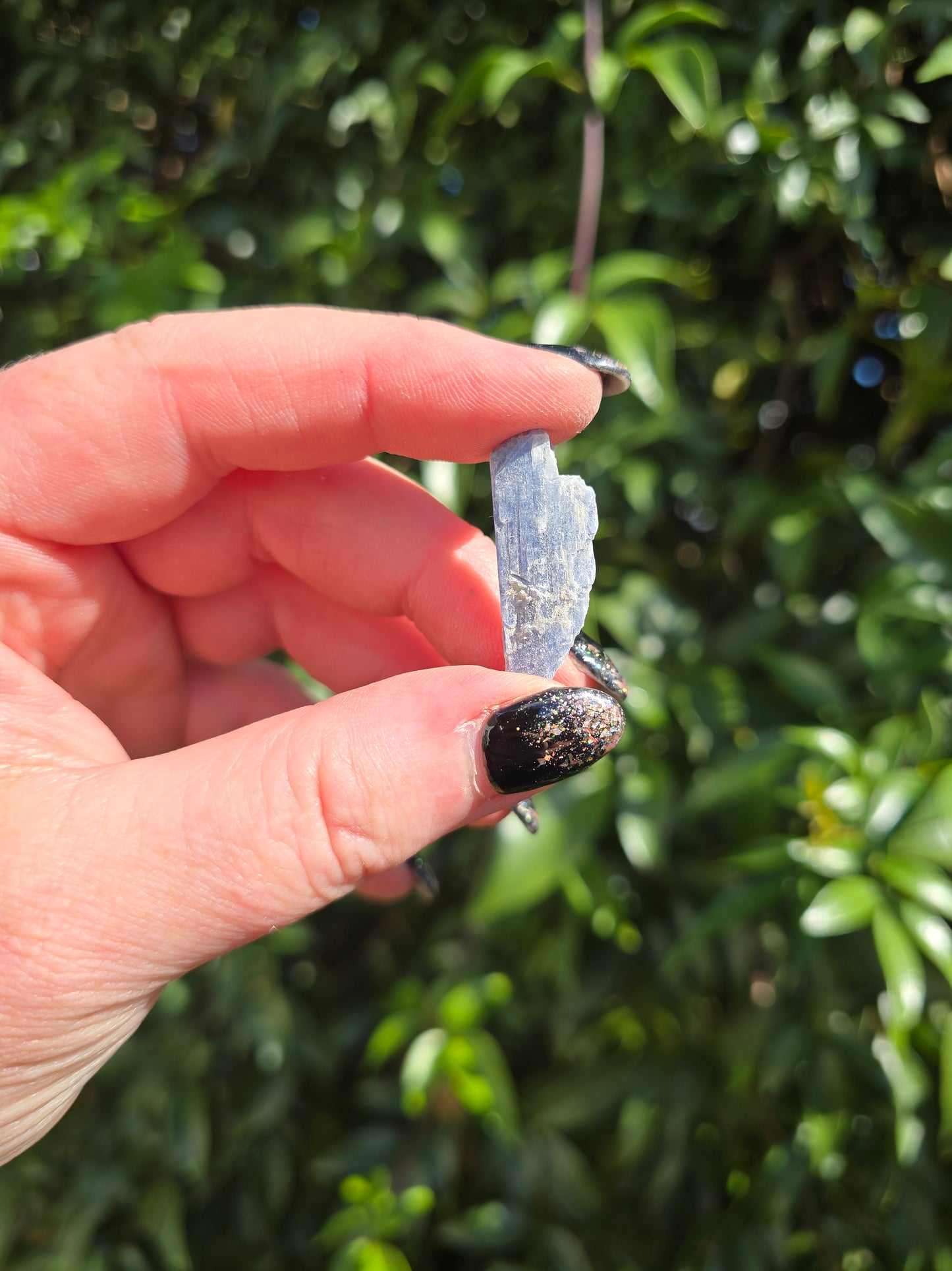 Blue Kyanite Rough Small Blade