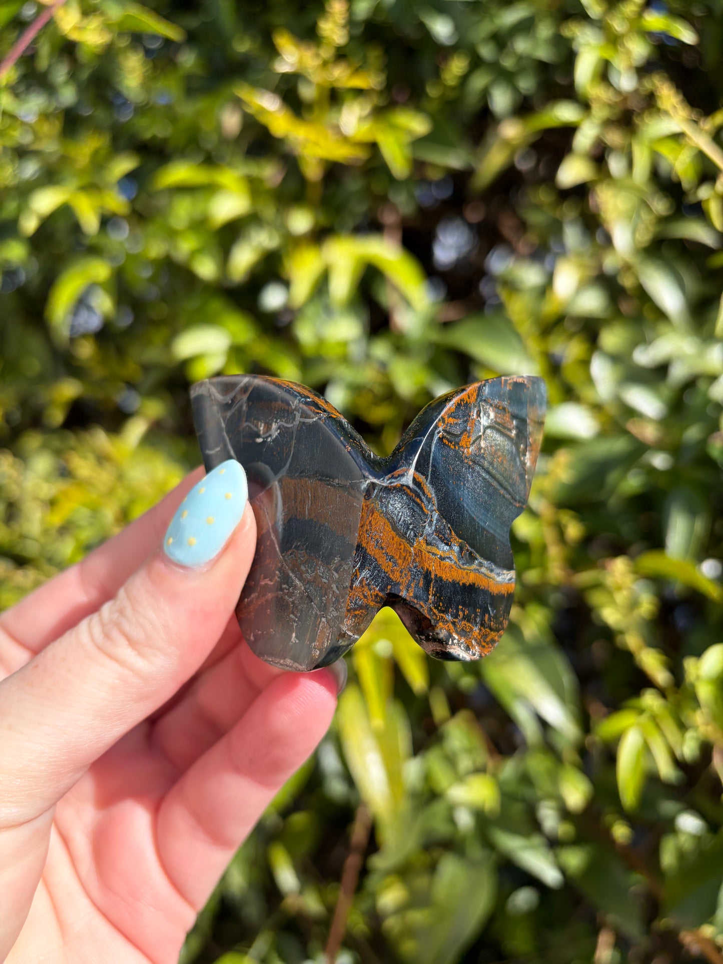 Blue Tigers Eye 3D Large Butterfly A