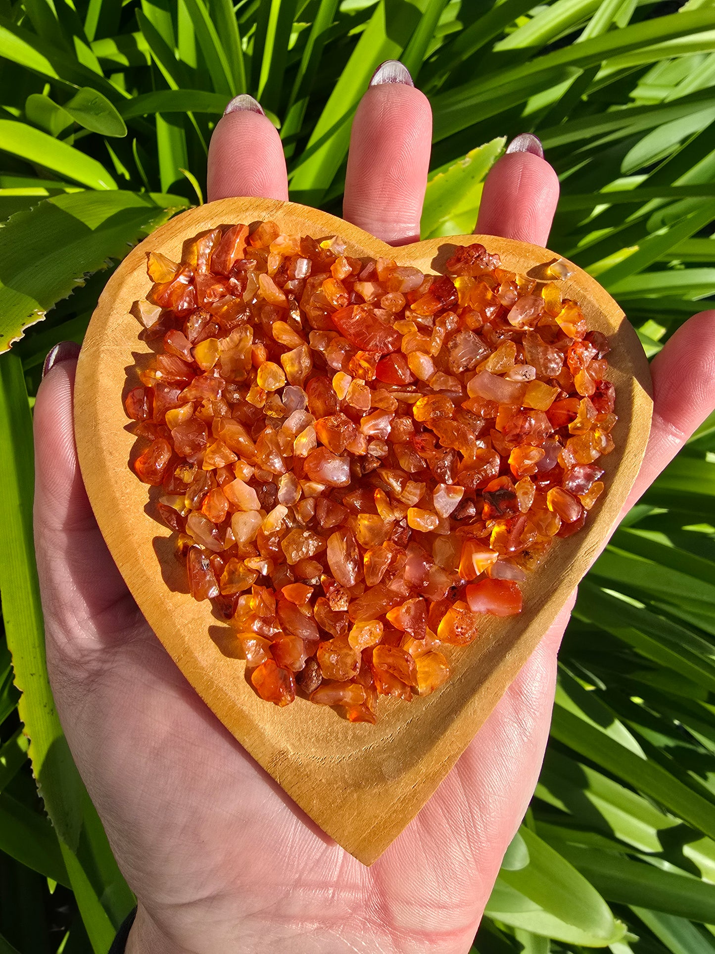 Carnelian Crystal Chip 100 gms Bag