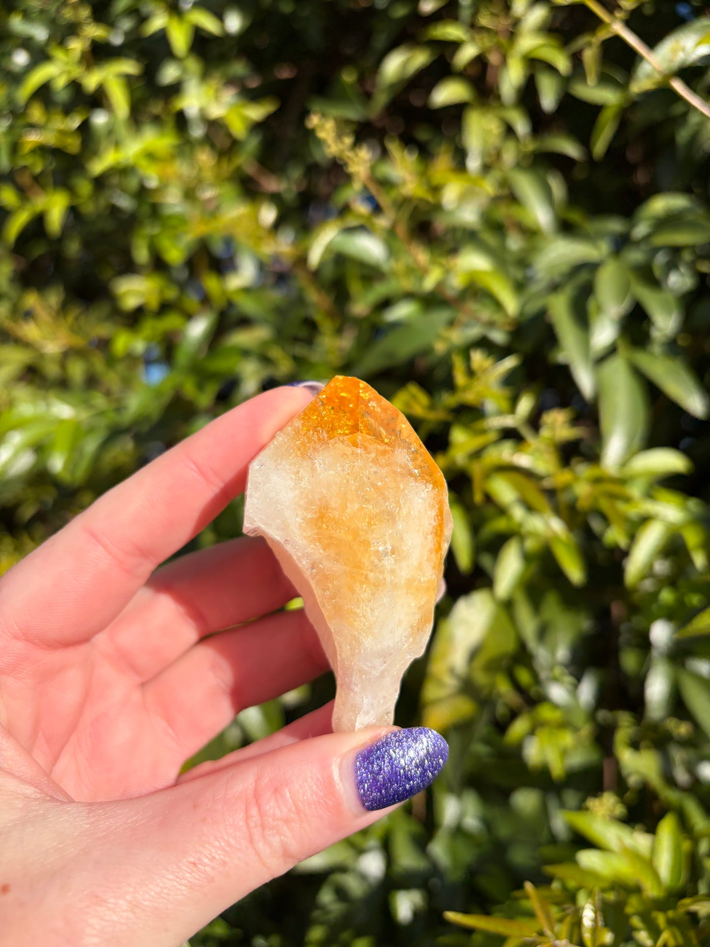 Citrine Rough Point E