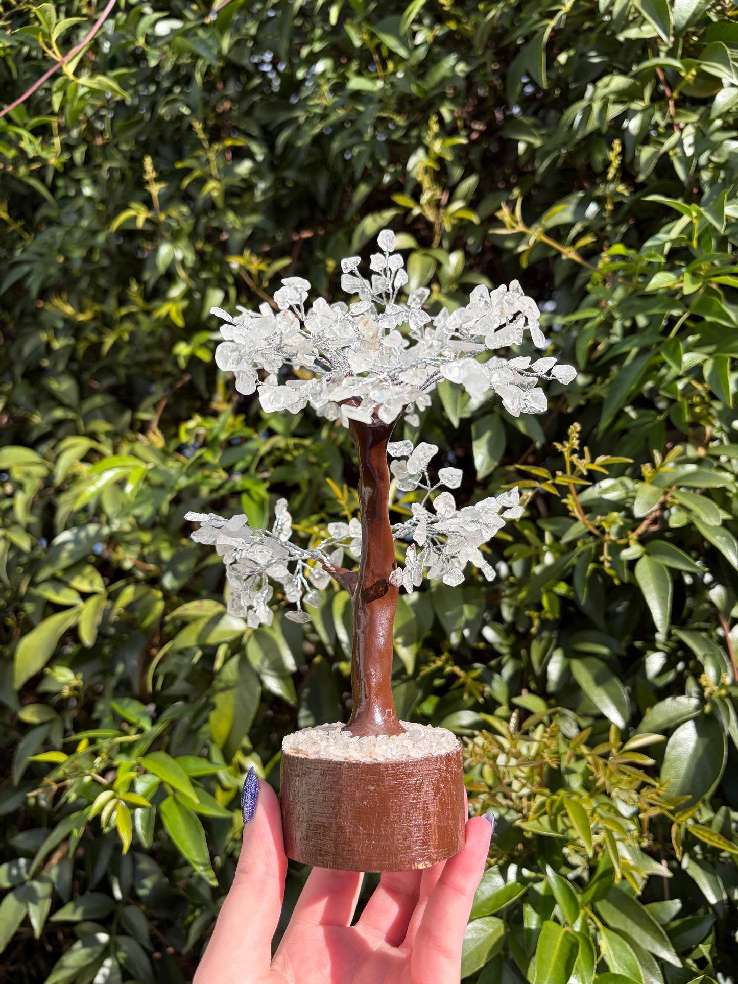 Clear Quartz Crystal Tree Large