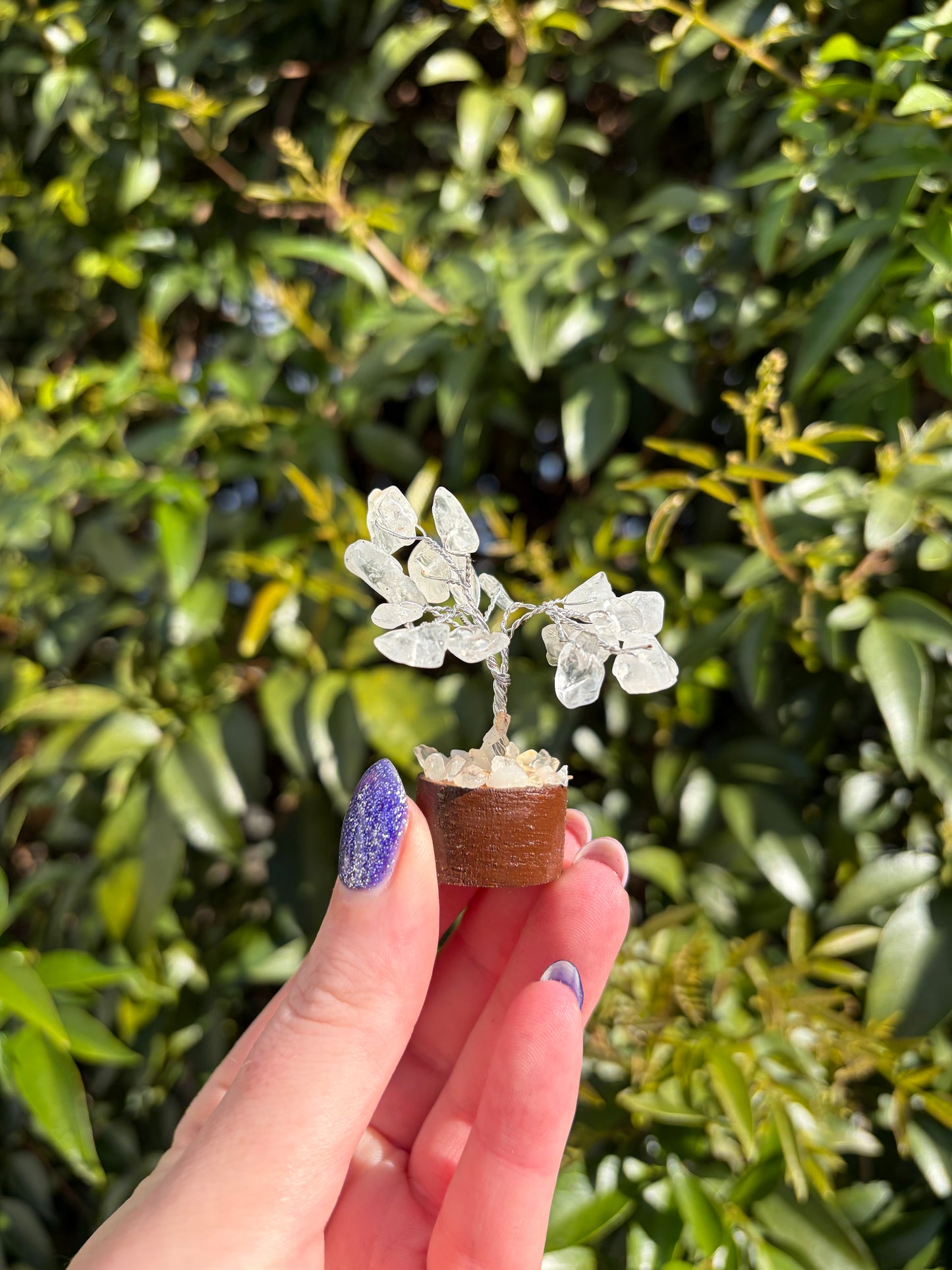 Clear Quartz Crystal Tree Mini