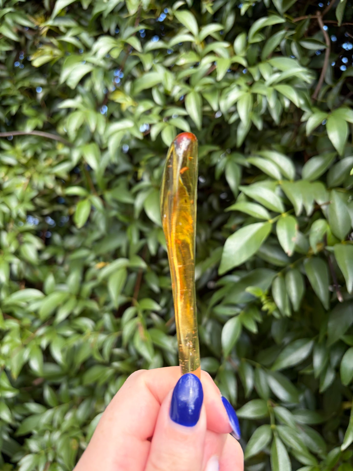 Copal Amber With Bugs Piece C