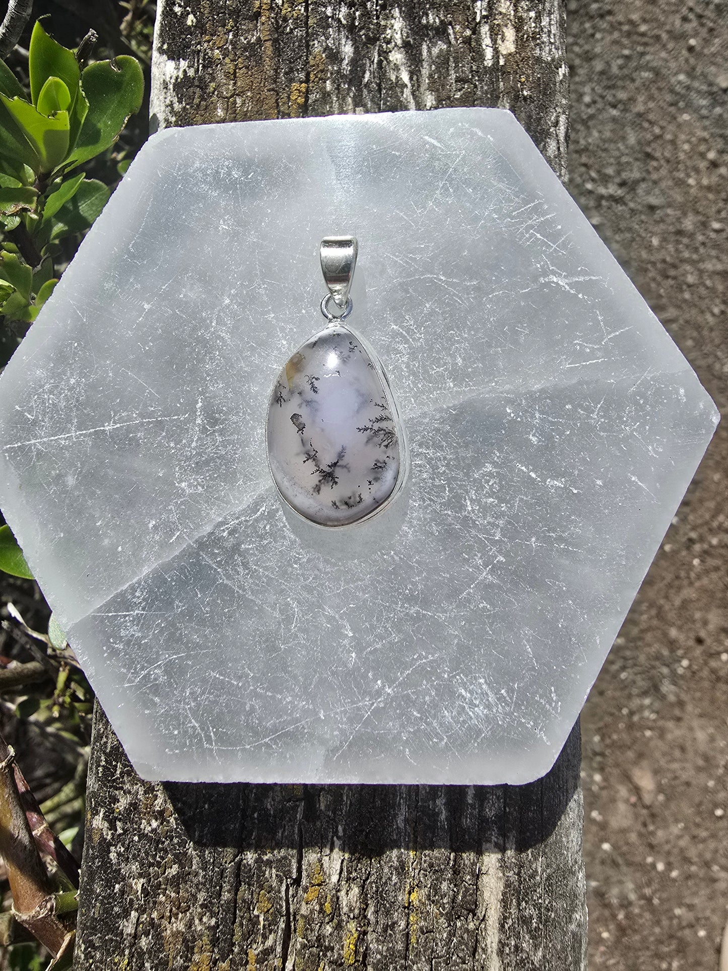 Dendritic Agate | Polished Sterling Silver Pendant B