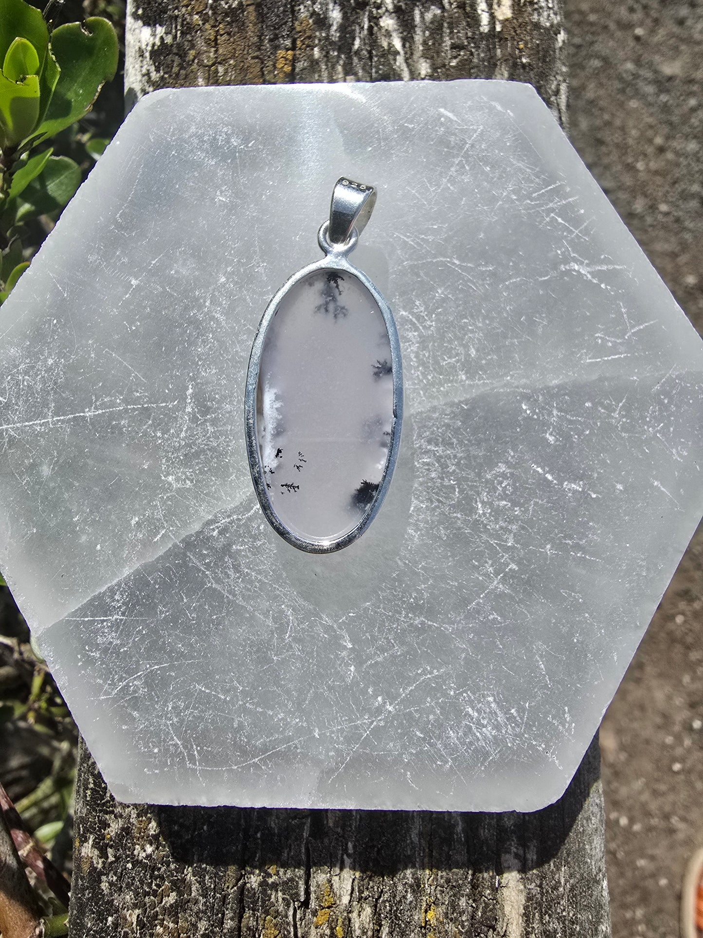 Dendritic Agate | Polished Sterling Silver Pendant C
