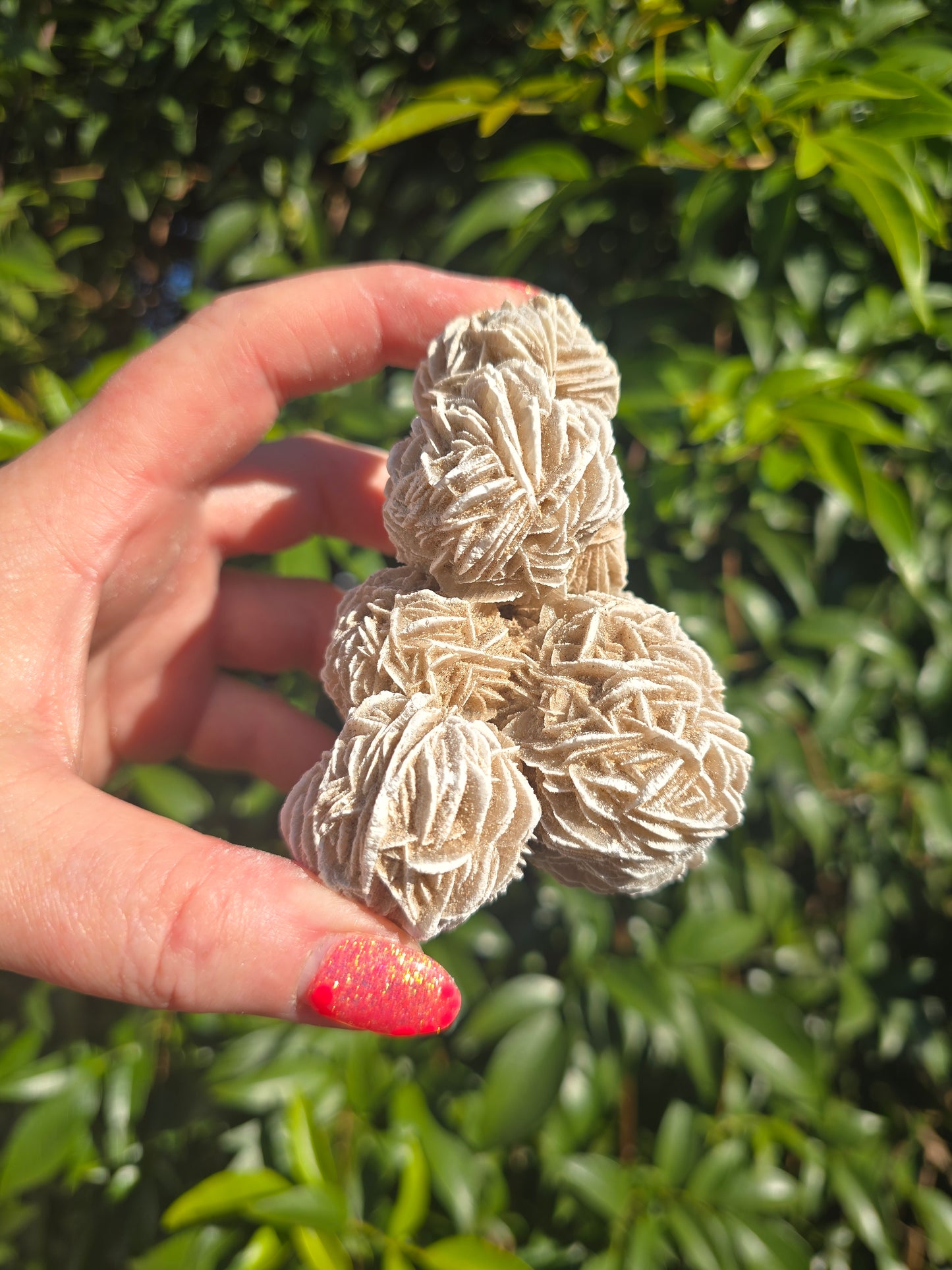Desert Rose Cluster Piece B