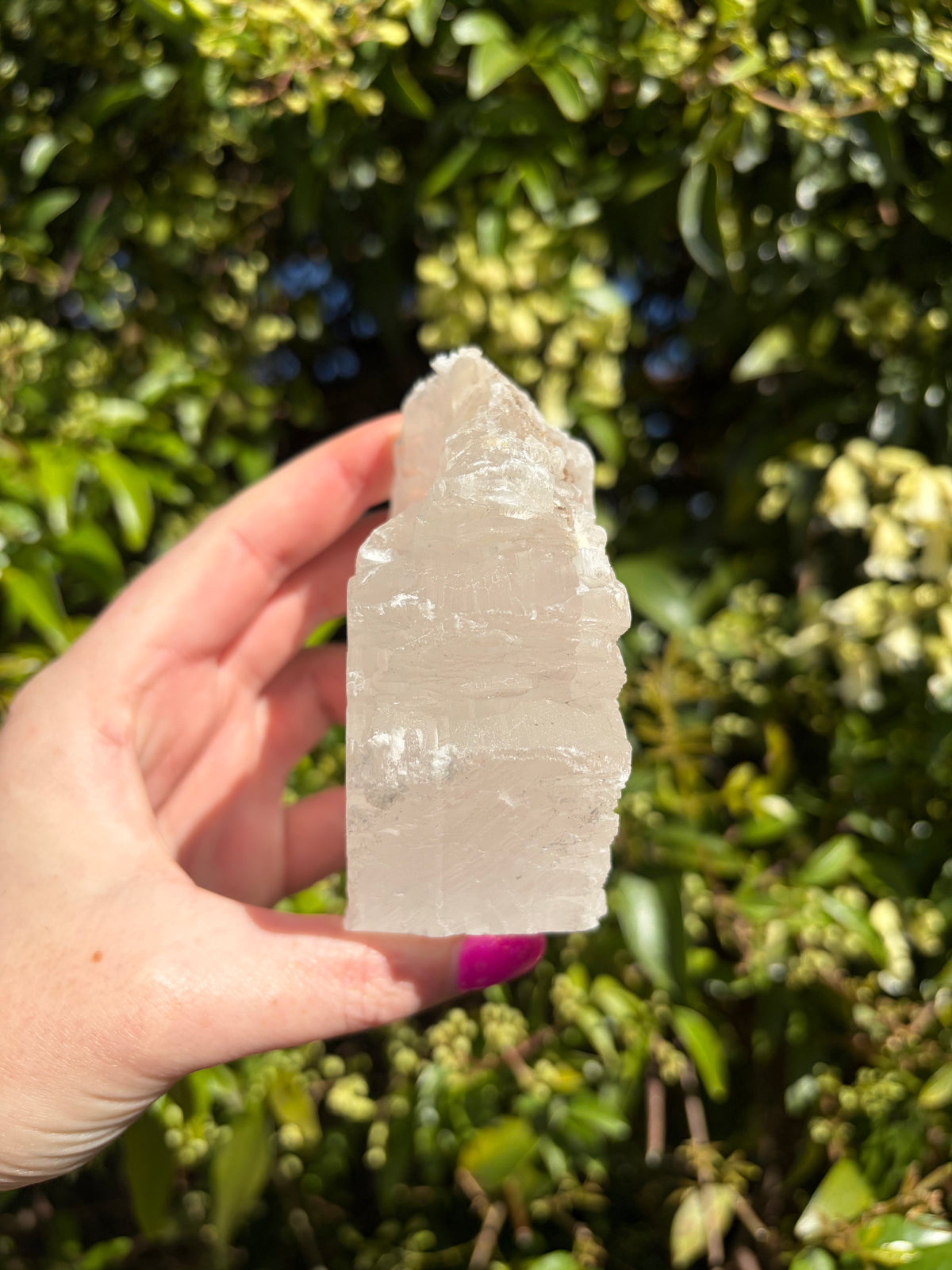Fishtail Selenite Piece A