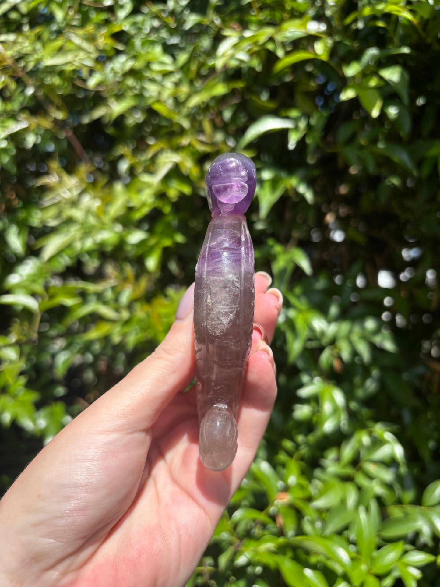 Fluorite Polished Sea Horse