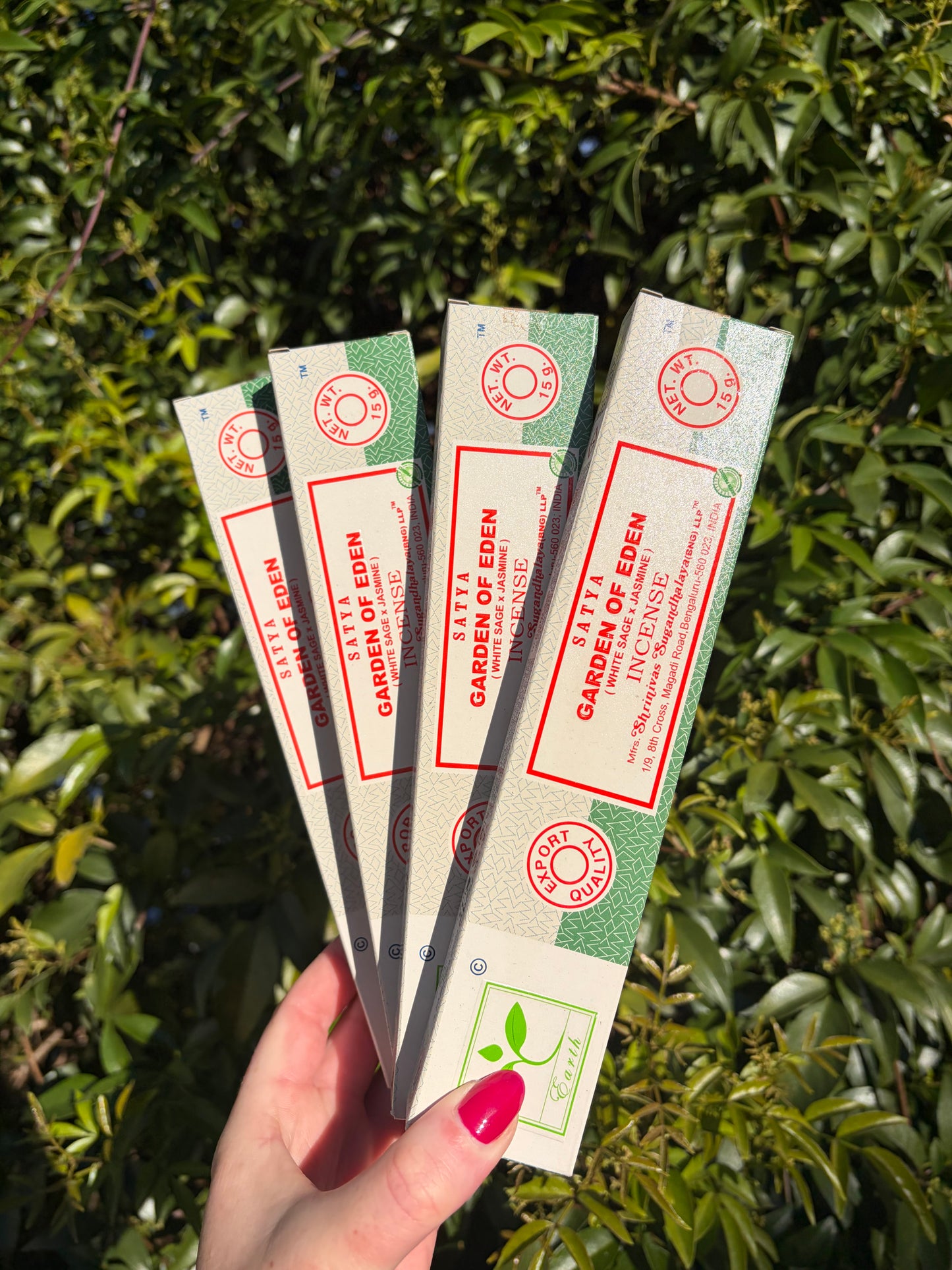 Garden Of Eden | White Sage & Jasmine Incense Sticks