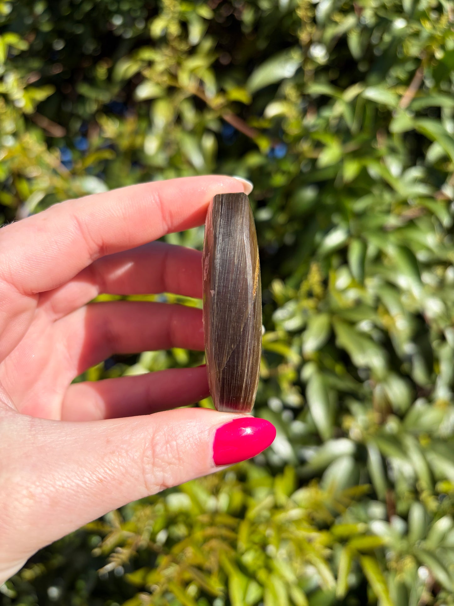 Golden Mica Palm Stone B