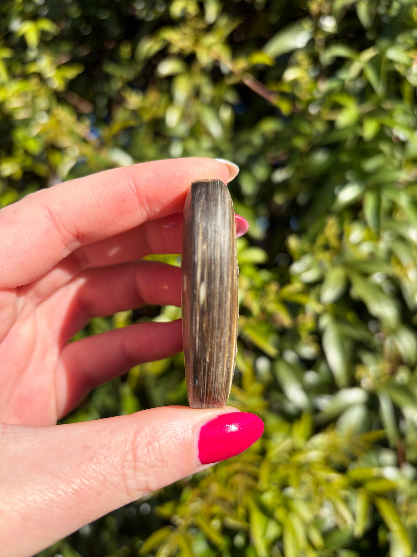 Golden Mica Palm Stone C