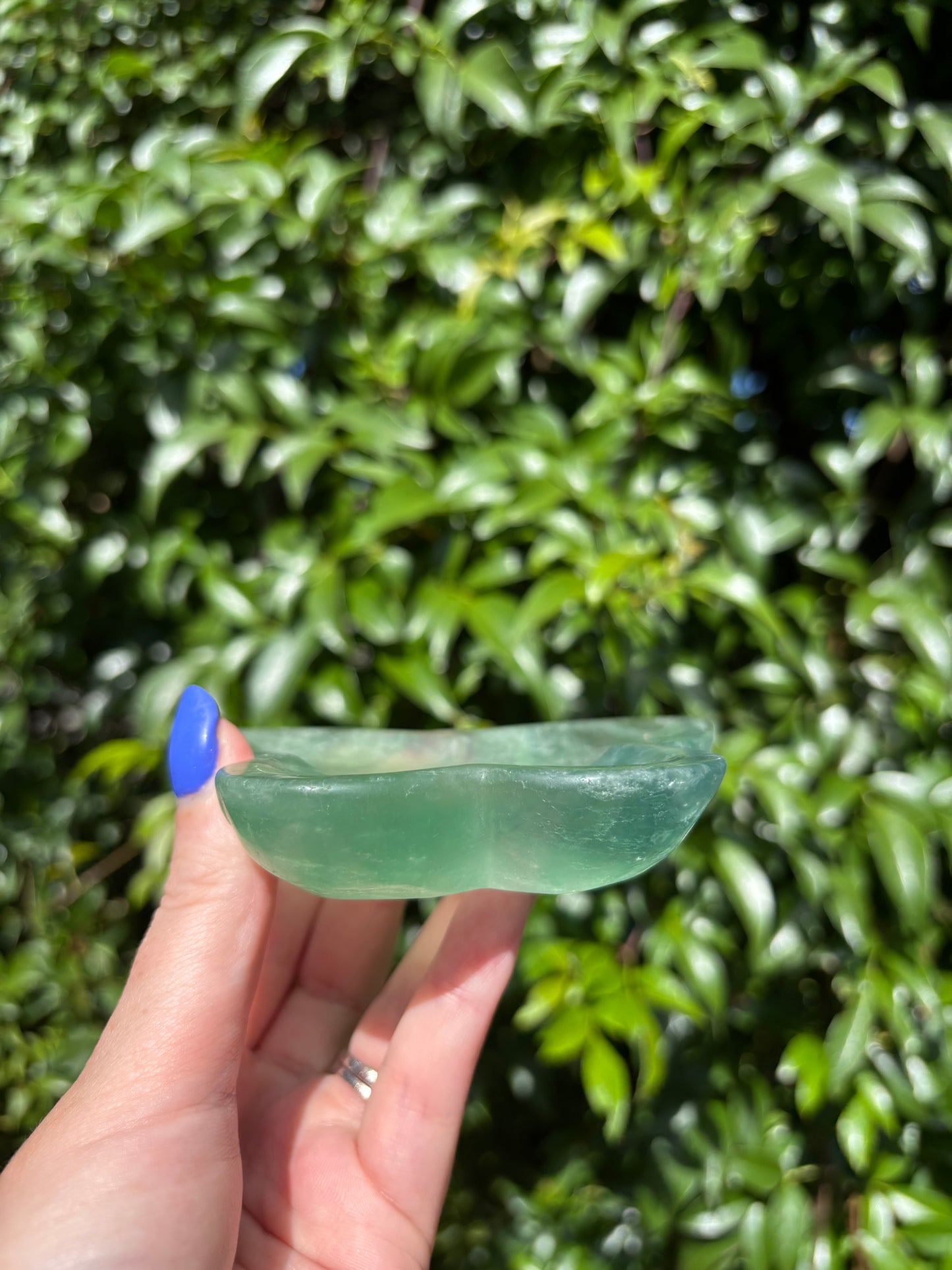 Green Fluorite Butterfly Dish C