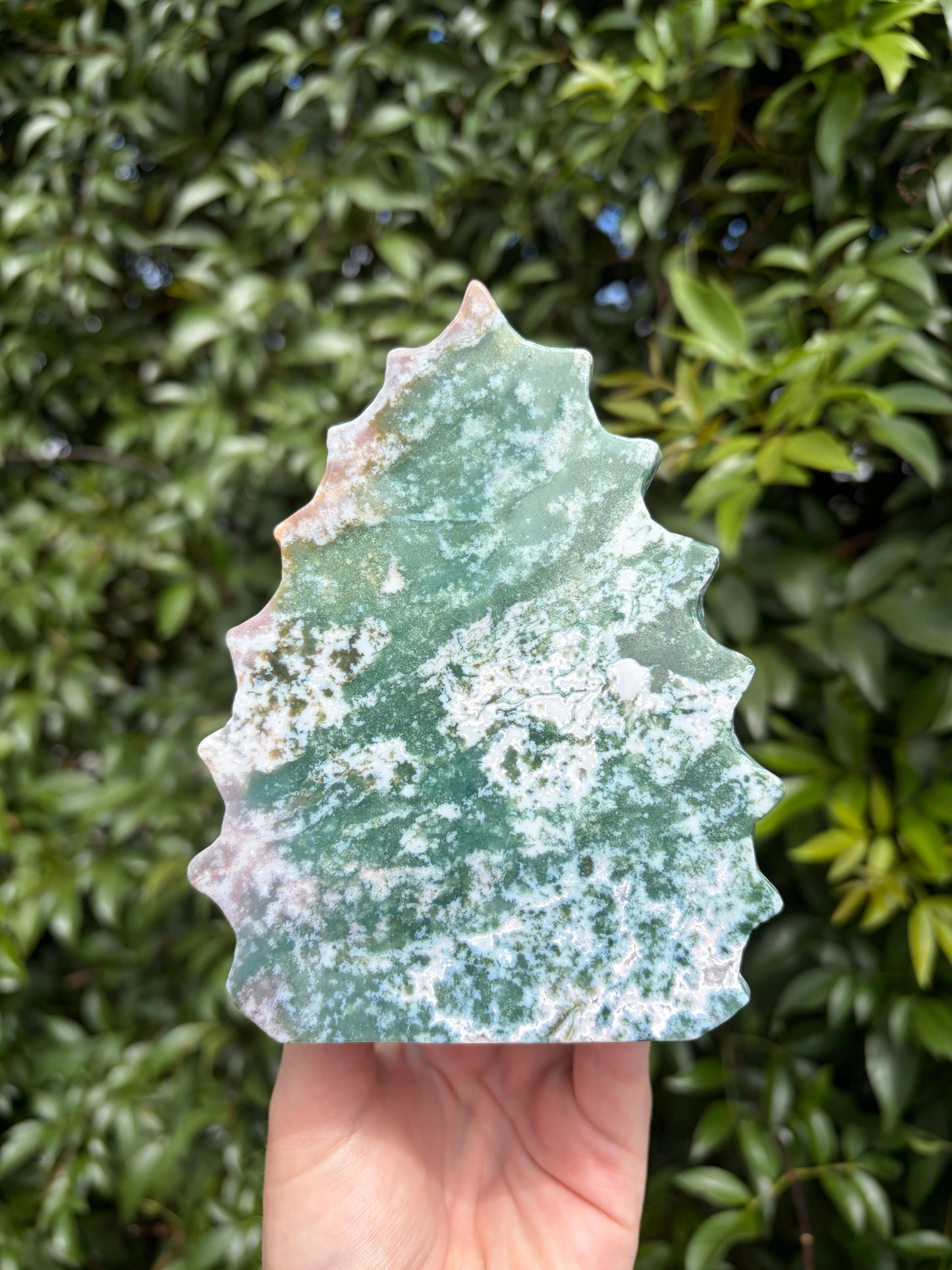 Green Ocean Jasper Skull