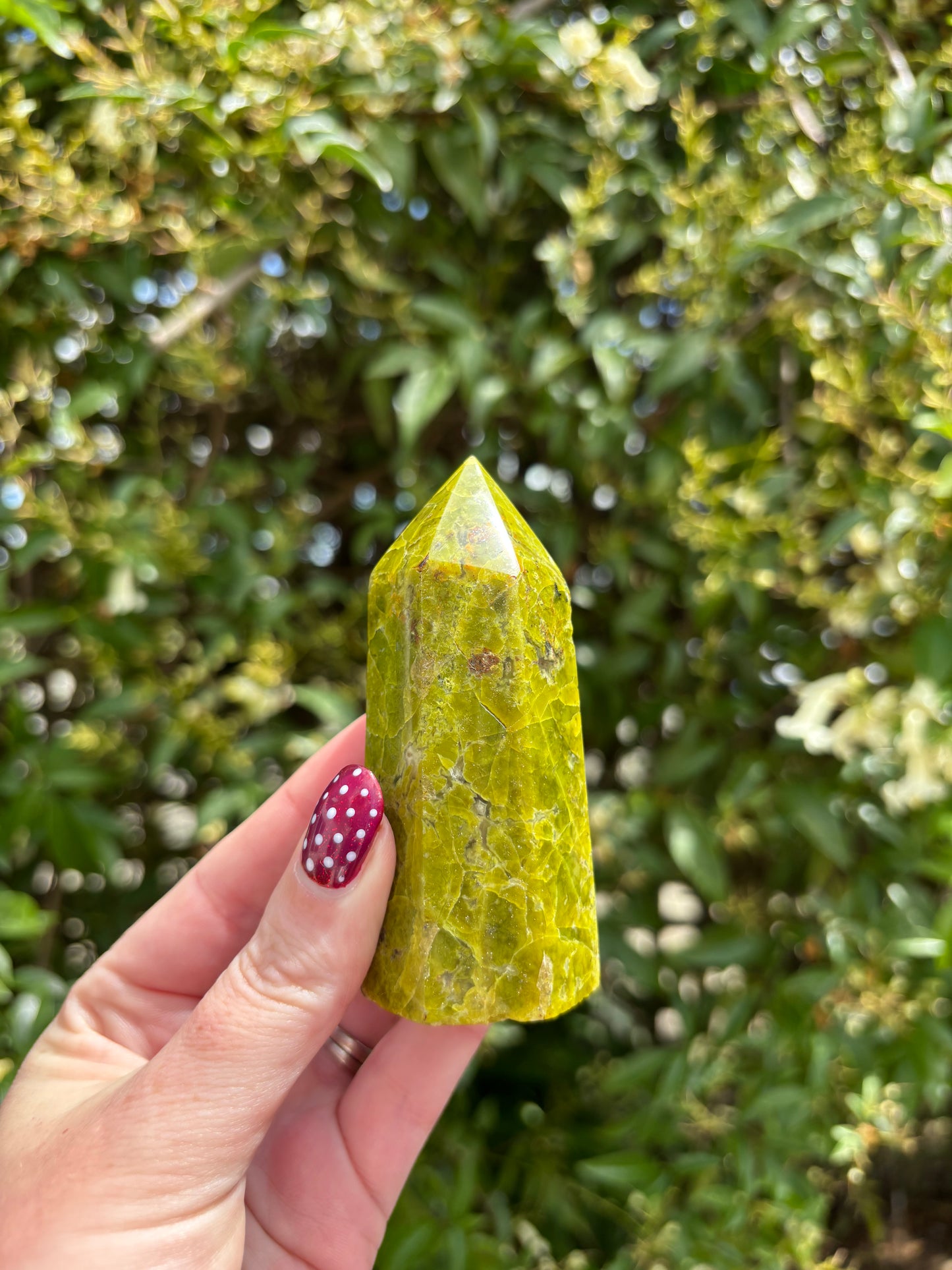 Green Opal Polished Point A