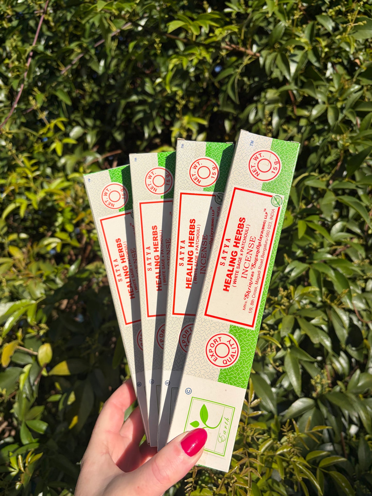 Healing Herbs | White Sage & Patchouli Incense Sticks