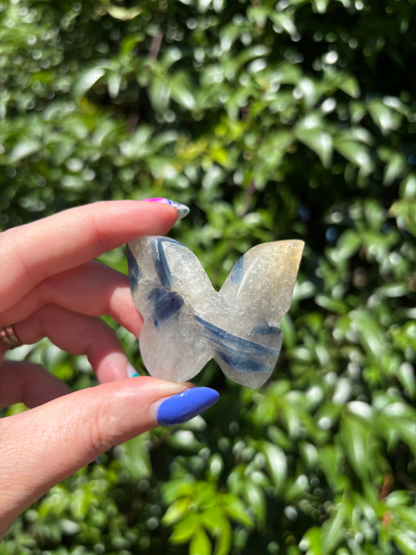 Blue Kyanite In Quartz Carved Butterfly A