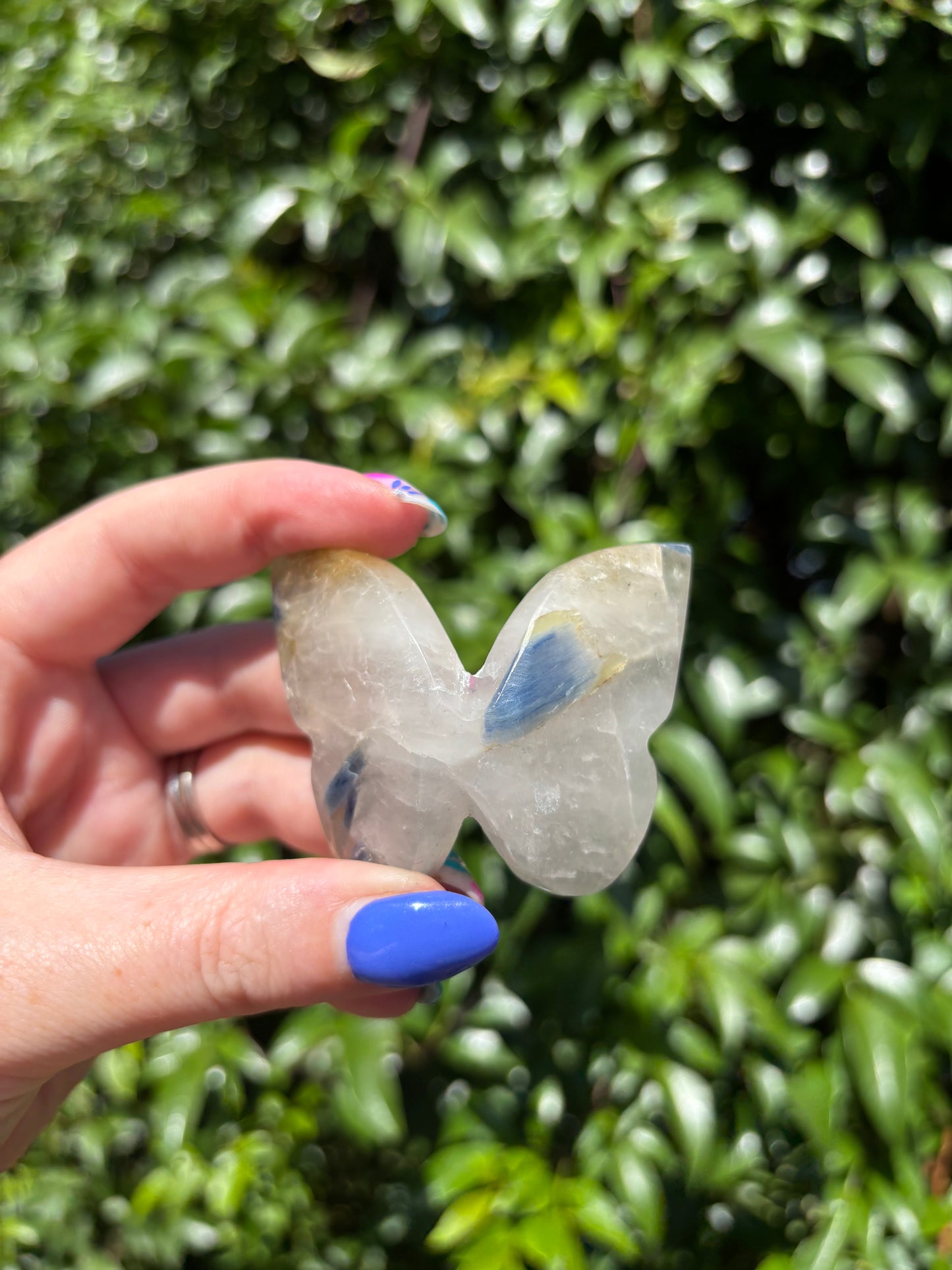 Blue Kyanite In Quartz Carved Butterfly B