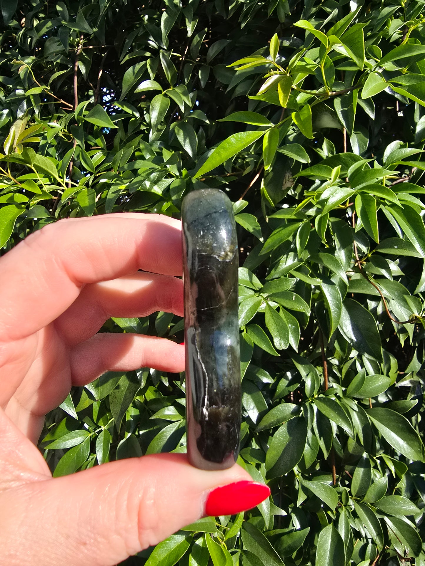 Labradorite Mermaid Tail B