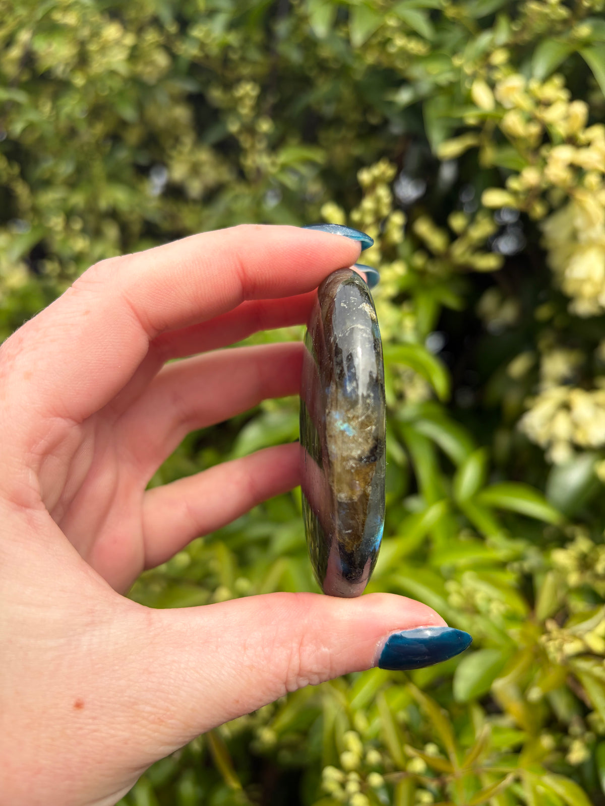 Labradorite Palm Stone C