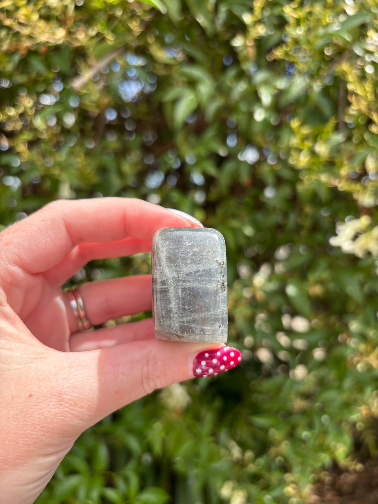 Labradorite Free Form i