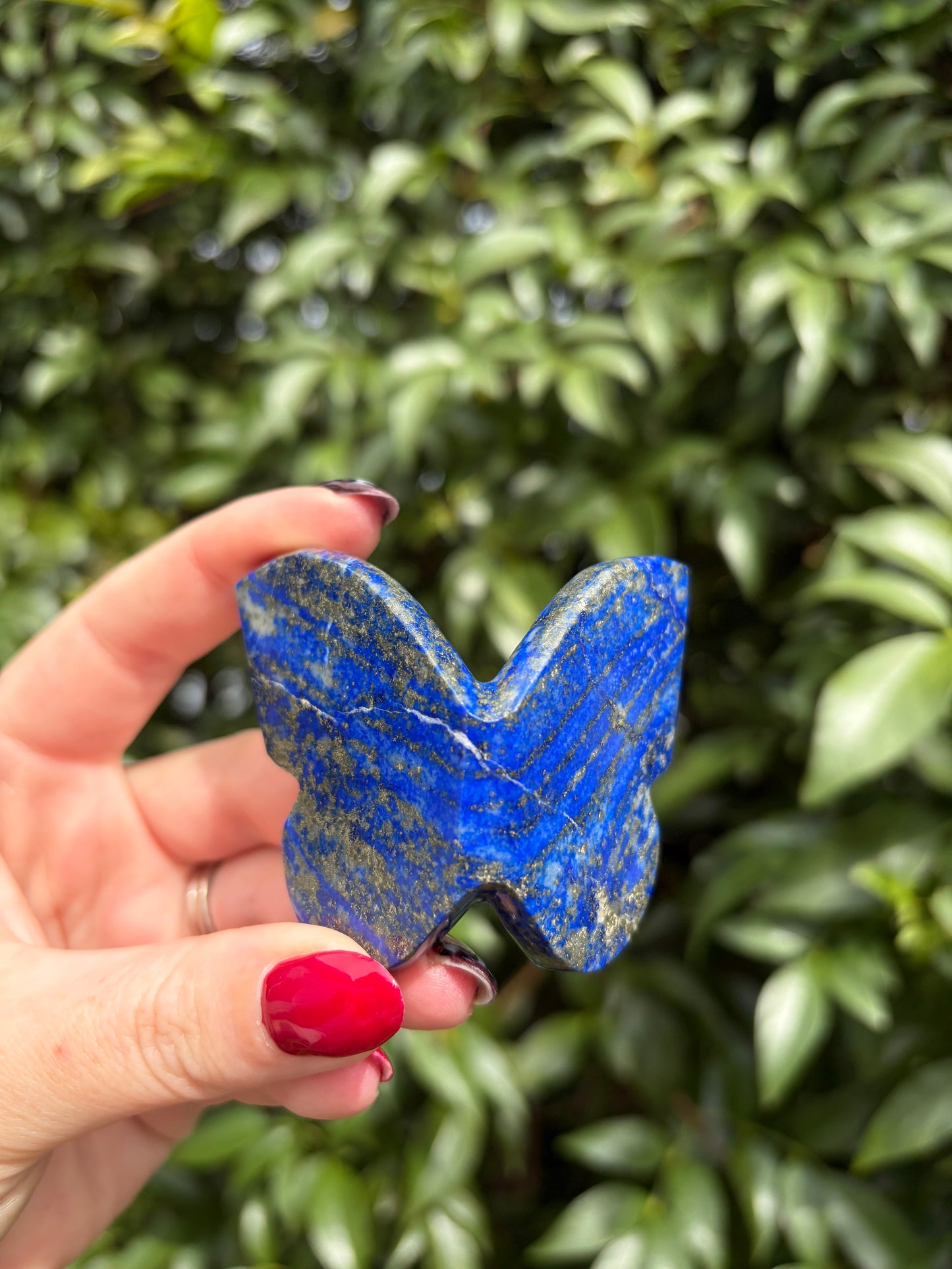 Lapis Lazuli 3D Large Butterfly B