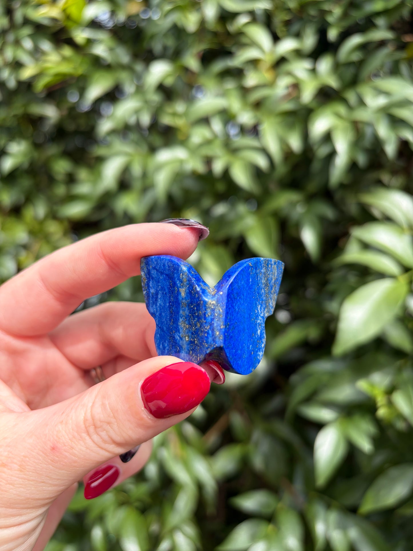 Lapis Lazuli 3D Medium Butterfly A