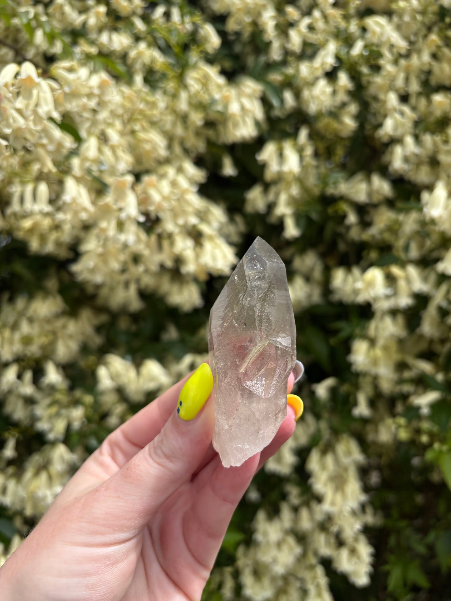 Lemurian Smoky Quartz Semi Polished Point D