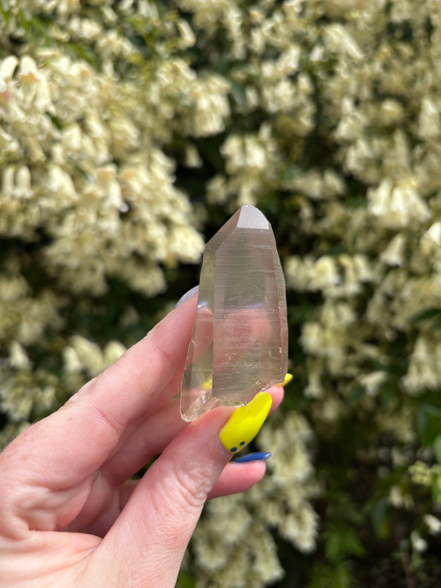 Lemurian Smoky Quartz Semi Polished Point E
