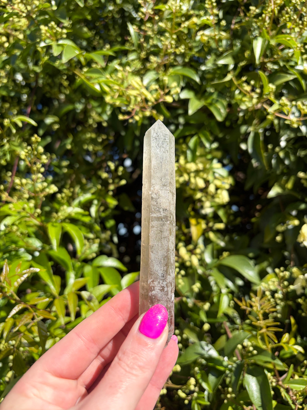 Lemurian Smoky Quartz Semi Polished Point C