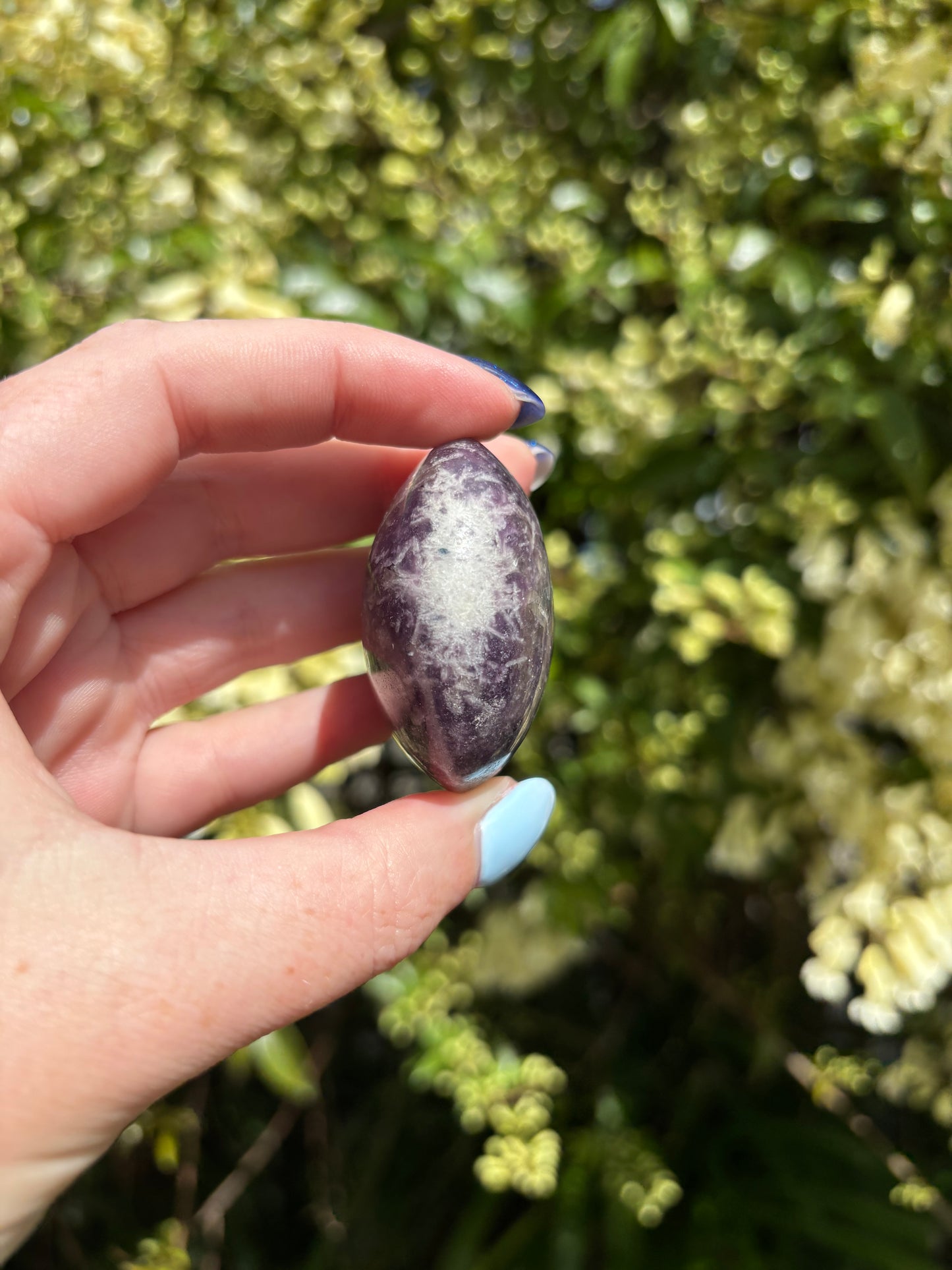 Lepidolite Palm Stone F