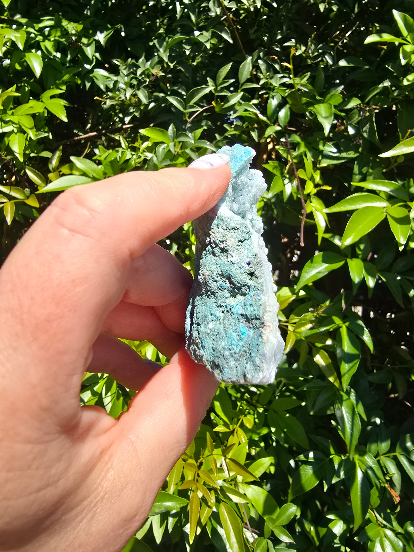 Light Blue Aura Quartz Cluster A