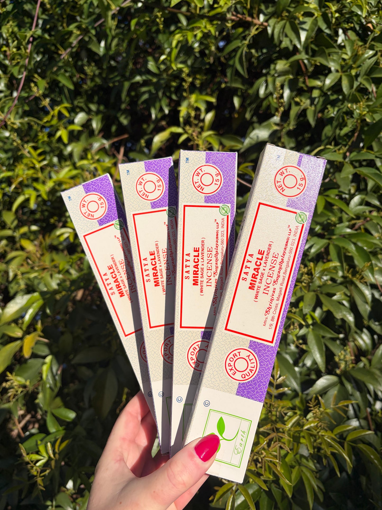 Miracle | White Sage & Lavender Incense Sticks