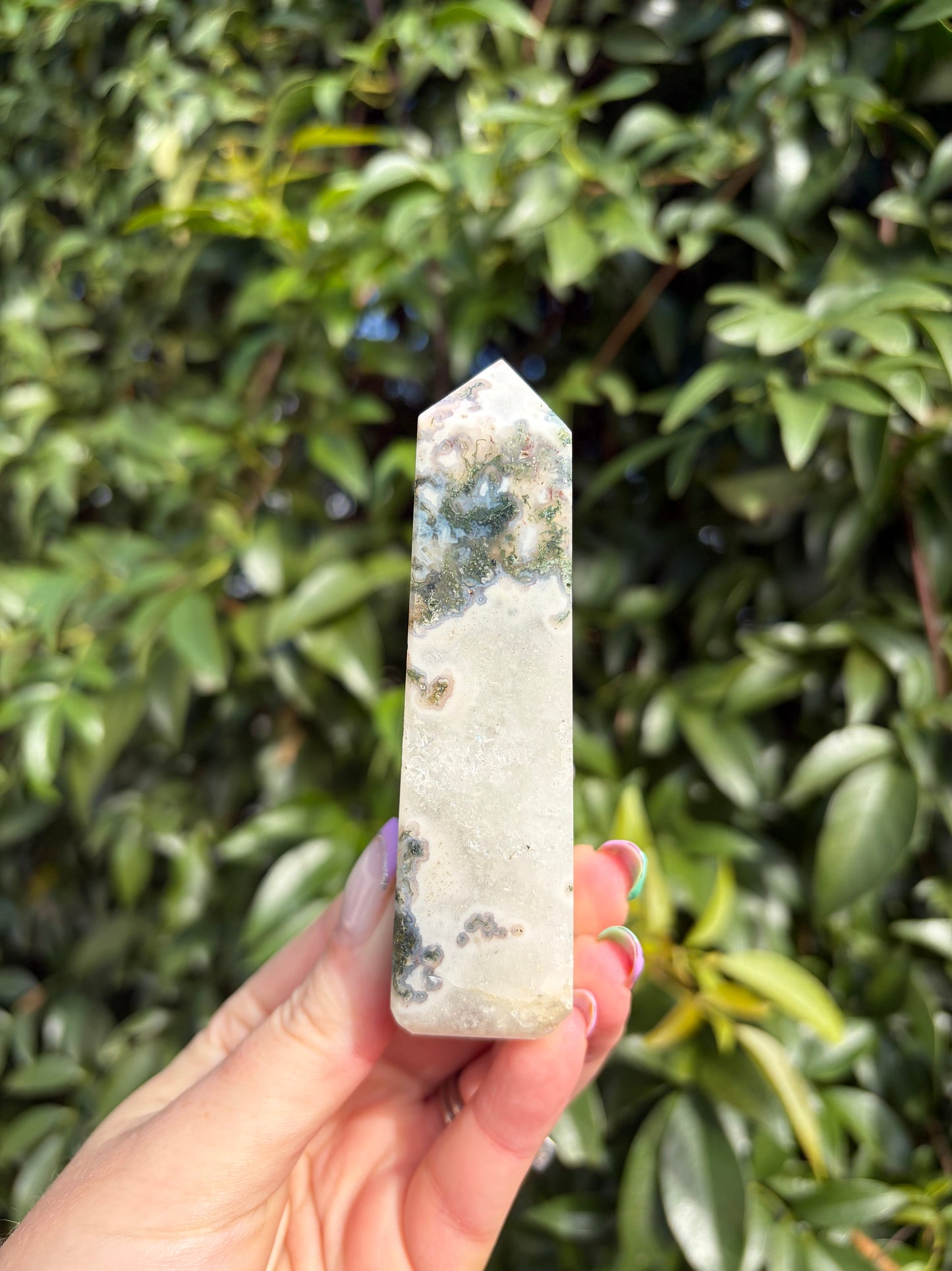 Moss Agate Point C