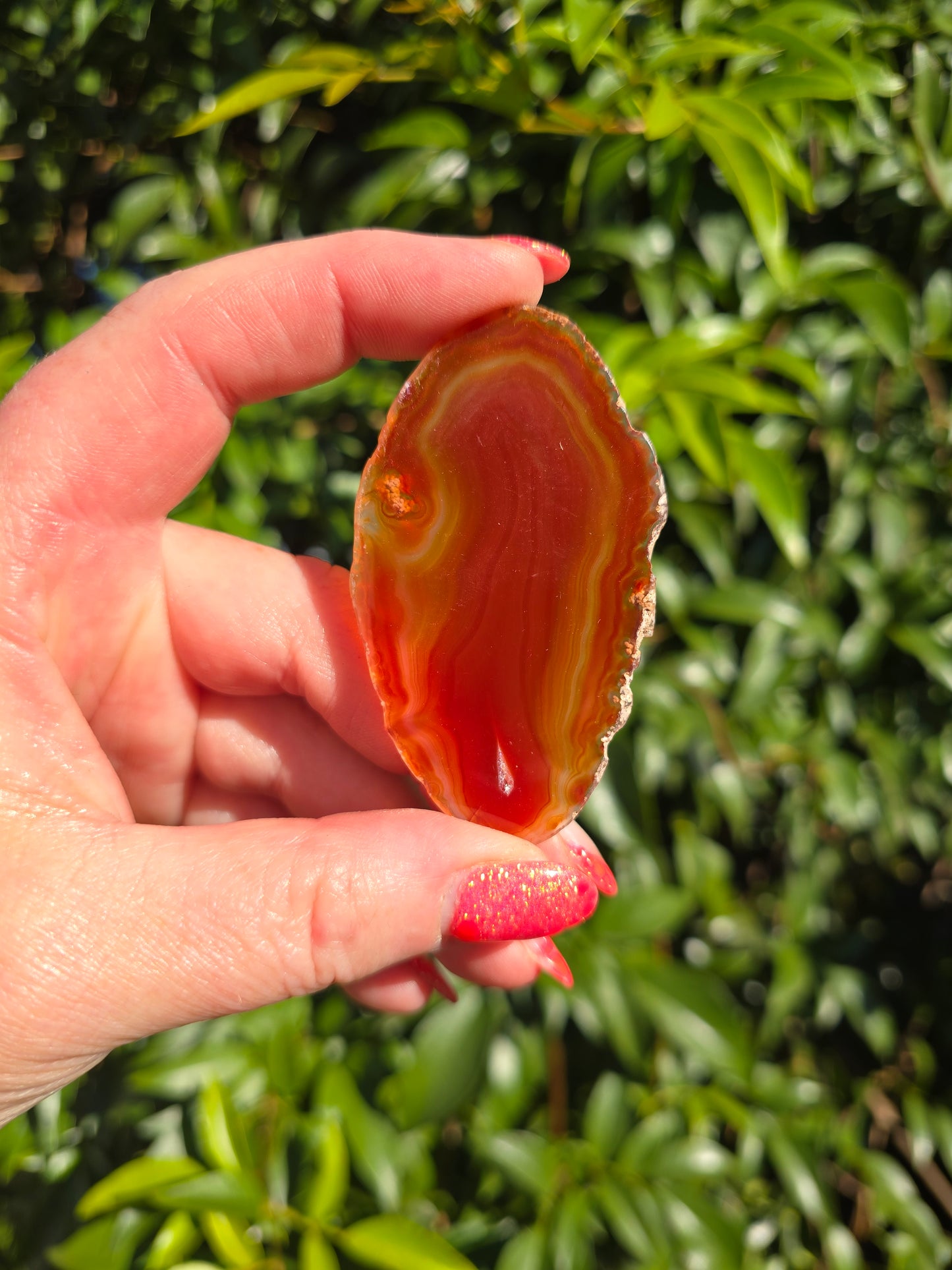 Agate Slice | Orange Medium