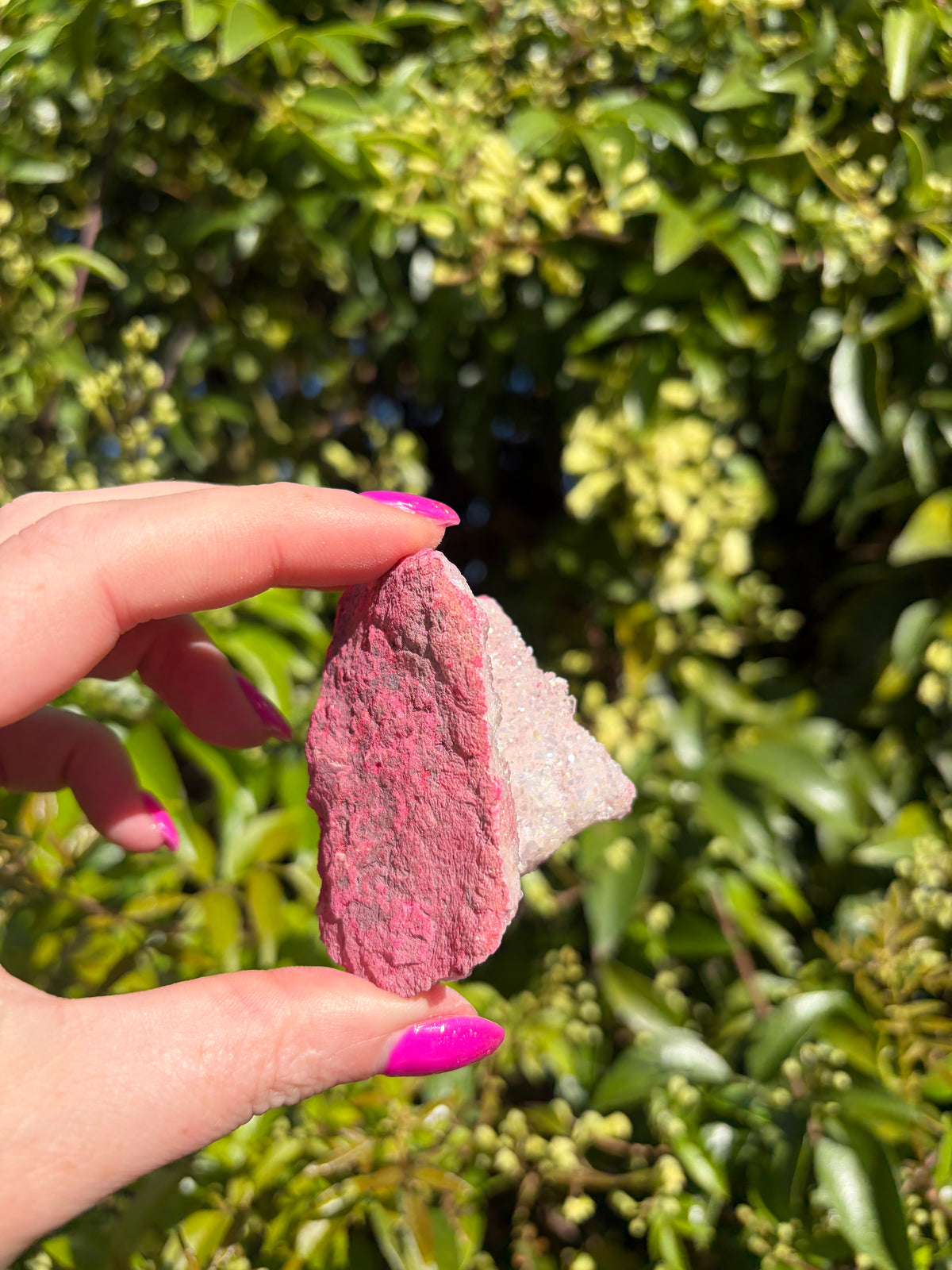 Pink Aura Quartz Cluster C