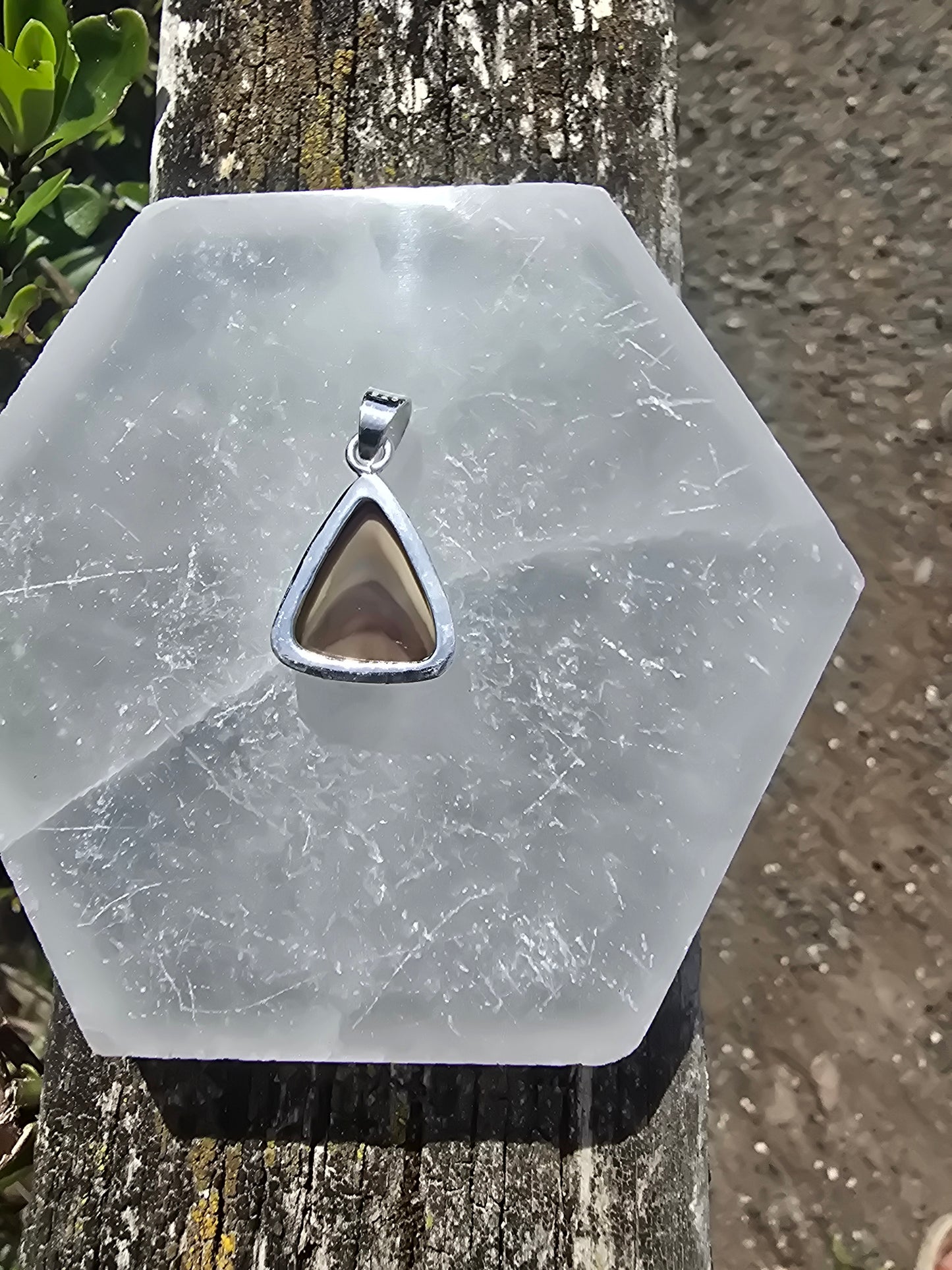 Polychrome Jasper | Polished Sterling Silver Pendant B