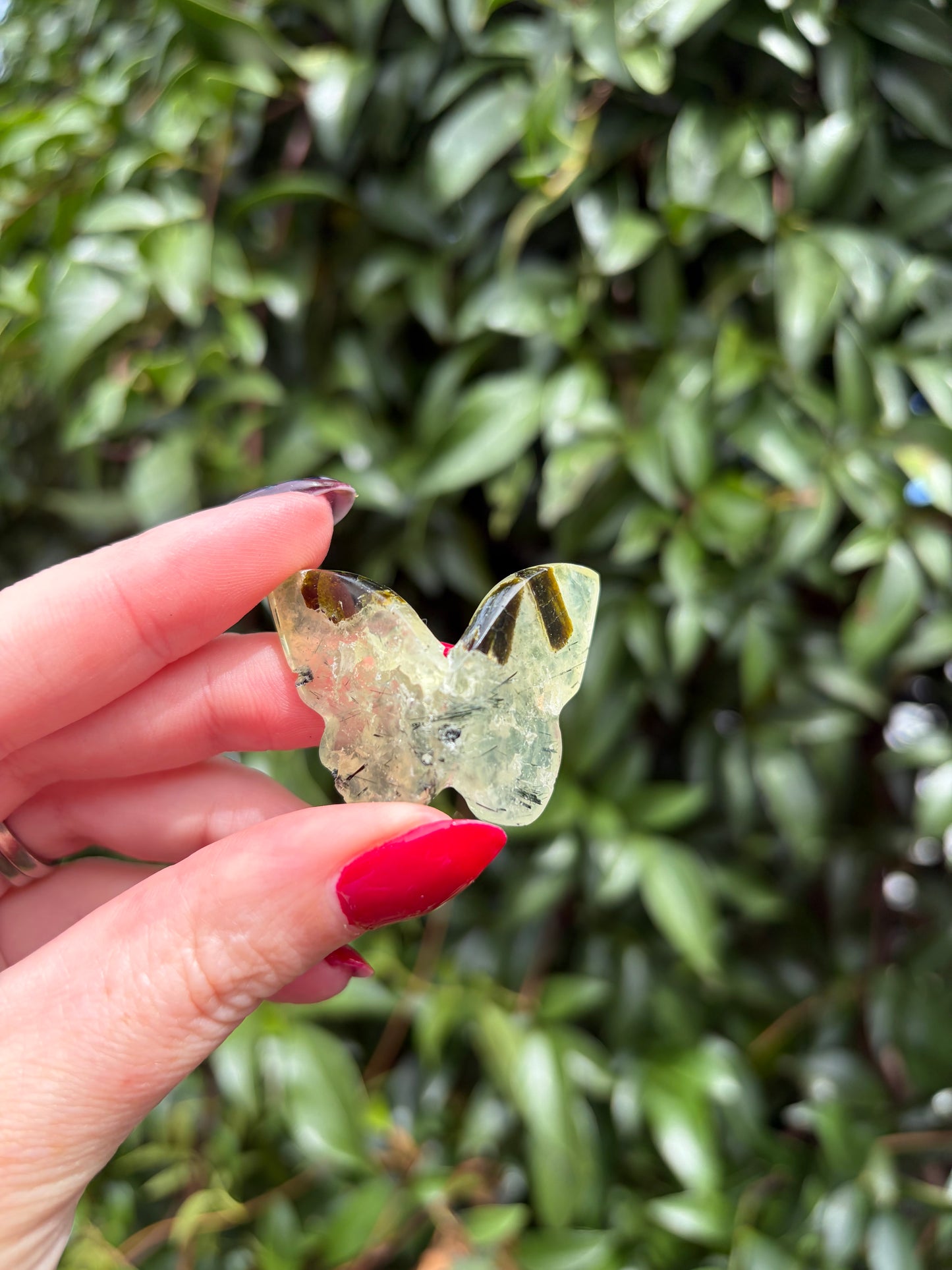 Prehnite 3D Medium Butterfly A