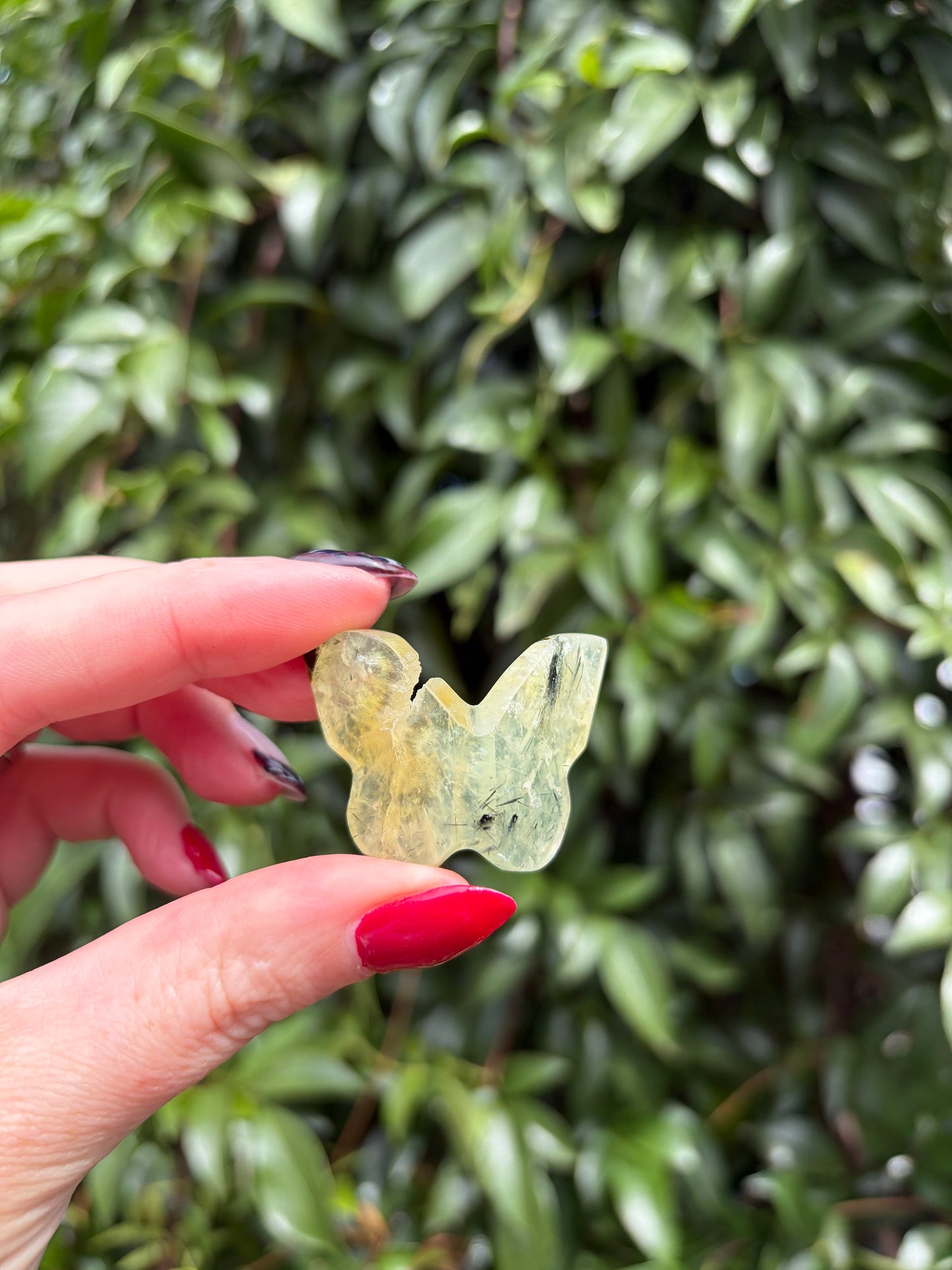 Prehnite 3D Medium Butterfly B